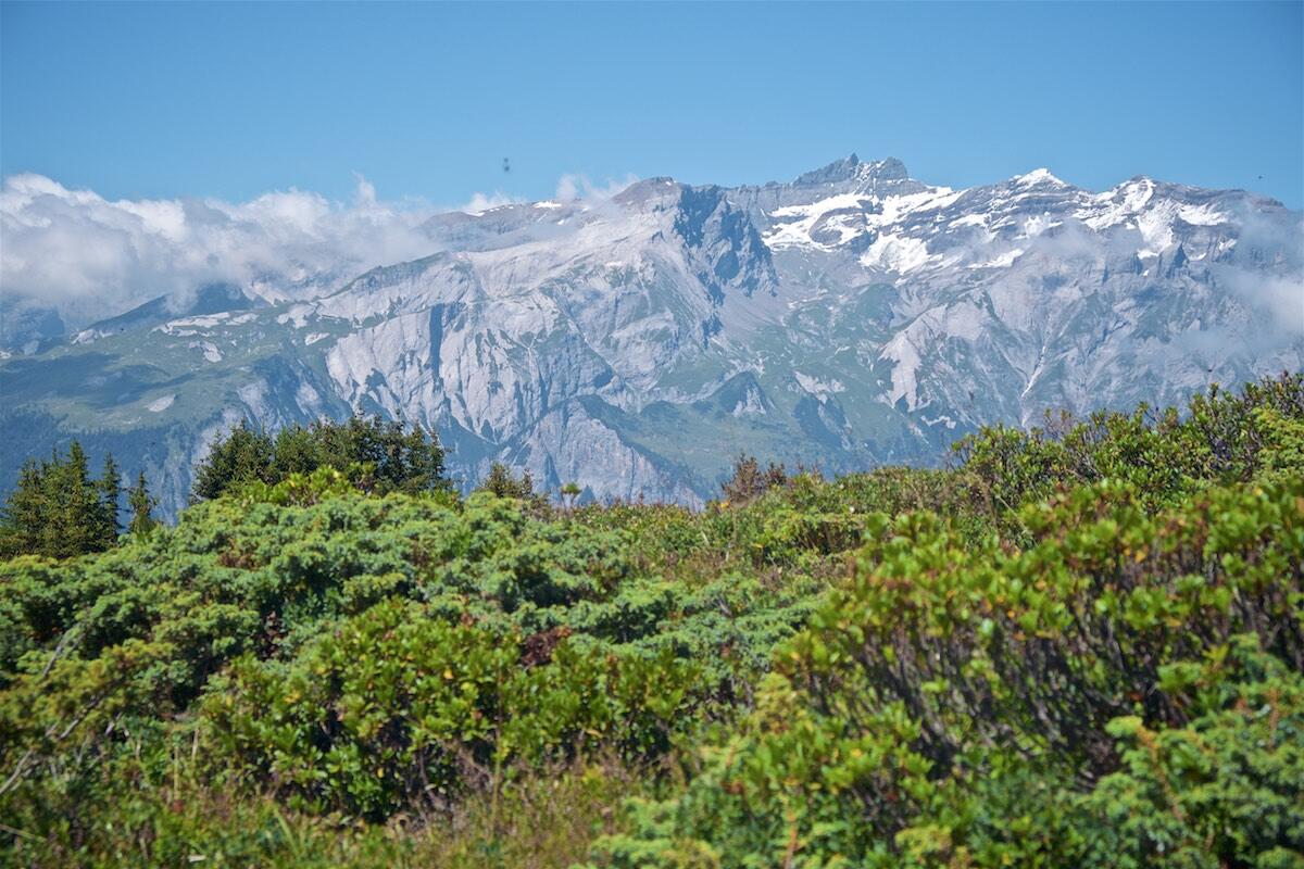 Bild ohne Beschreibung