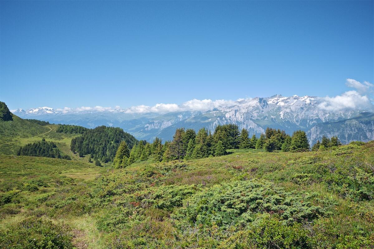 Bild ohne Beschreibung