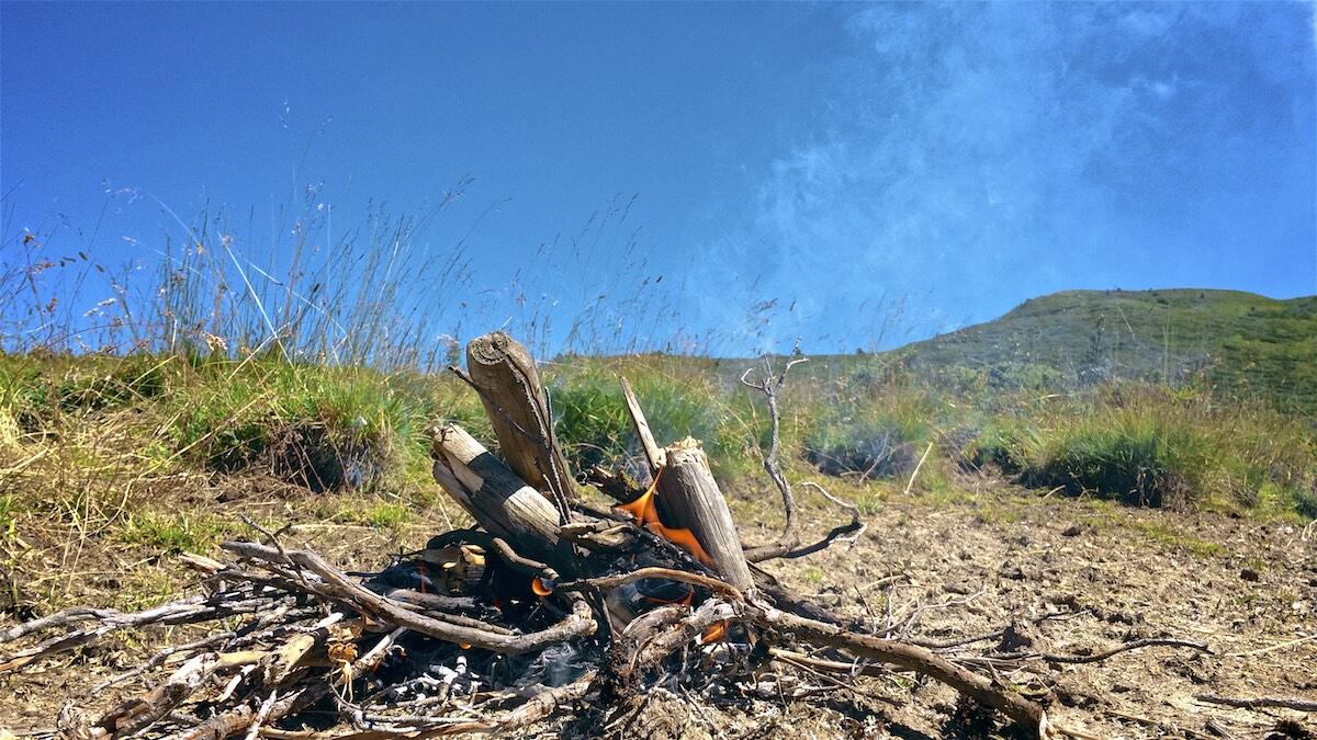 Bild ohne Beschreibung