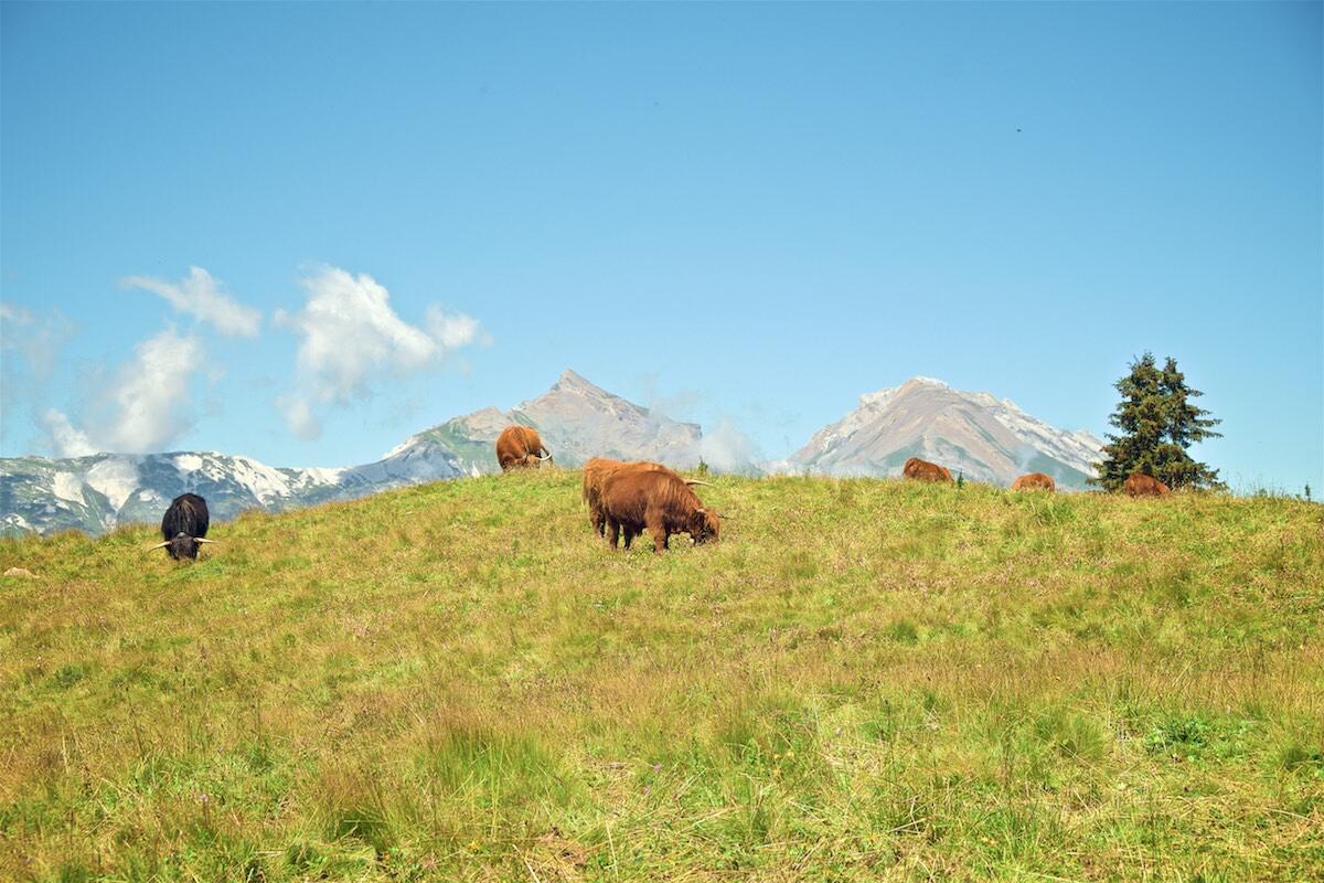 Bild ohne Beschreibung