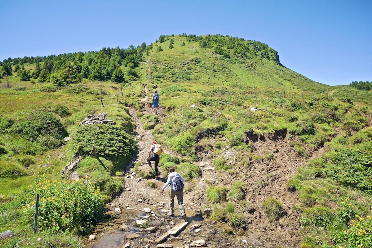 Bild ohne Beschreibung