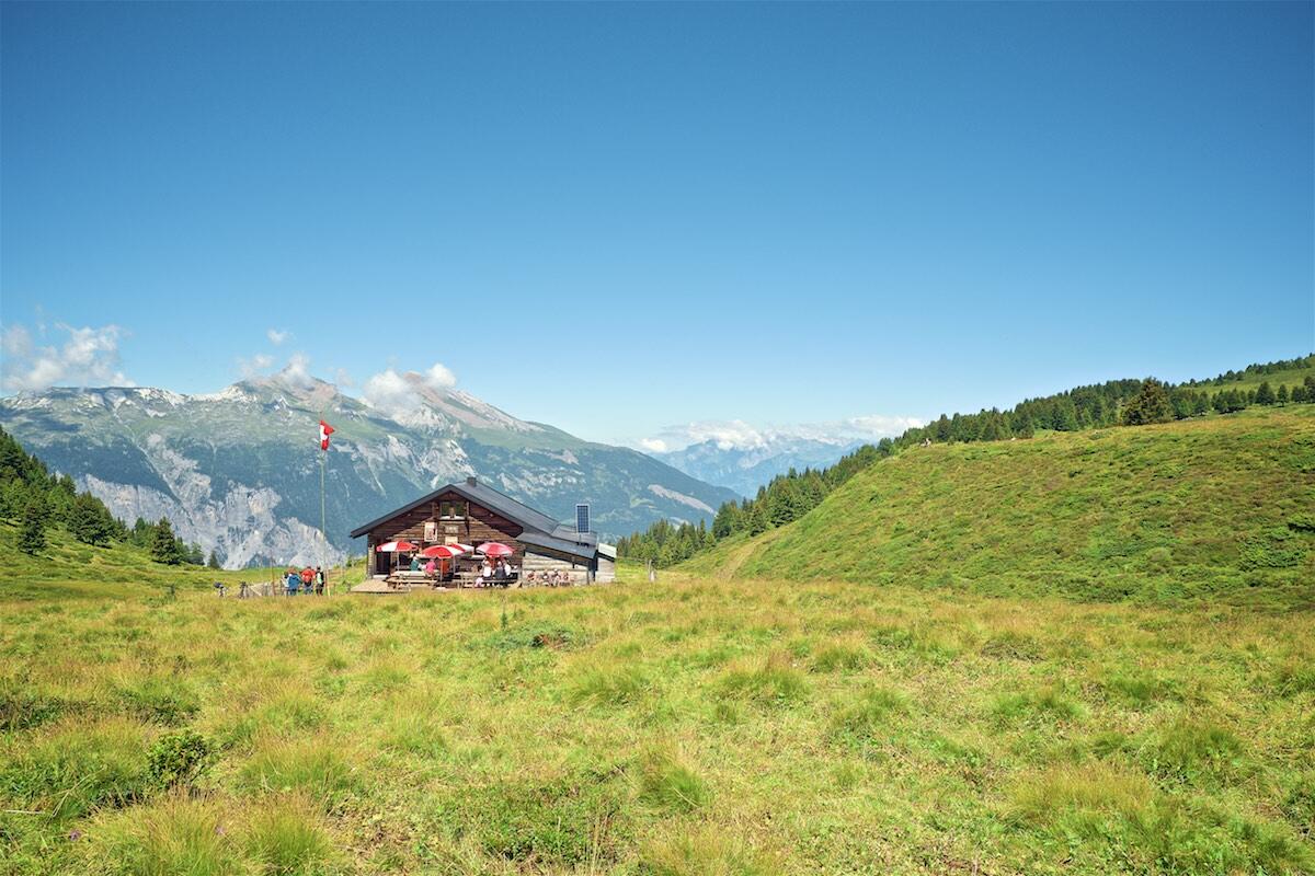 Bild ohne Beschreibung