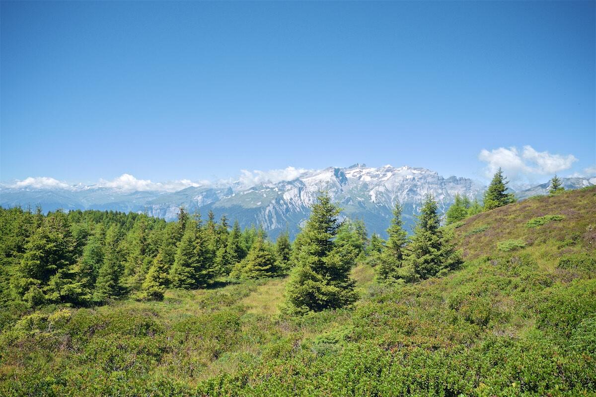 Bild ohne Beschreibung