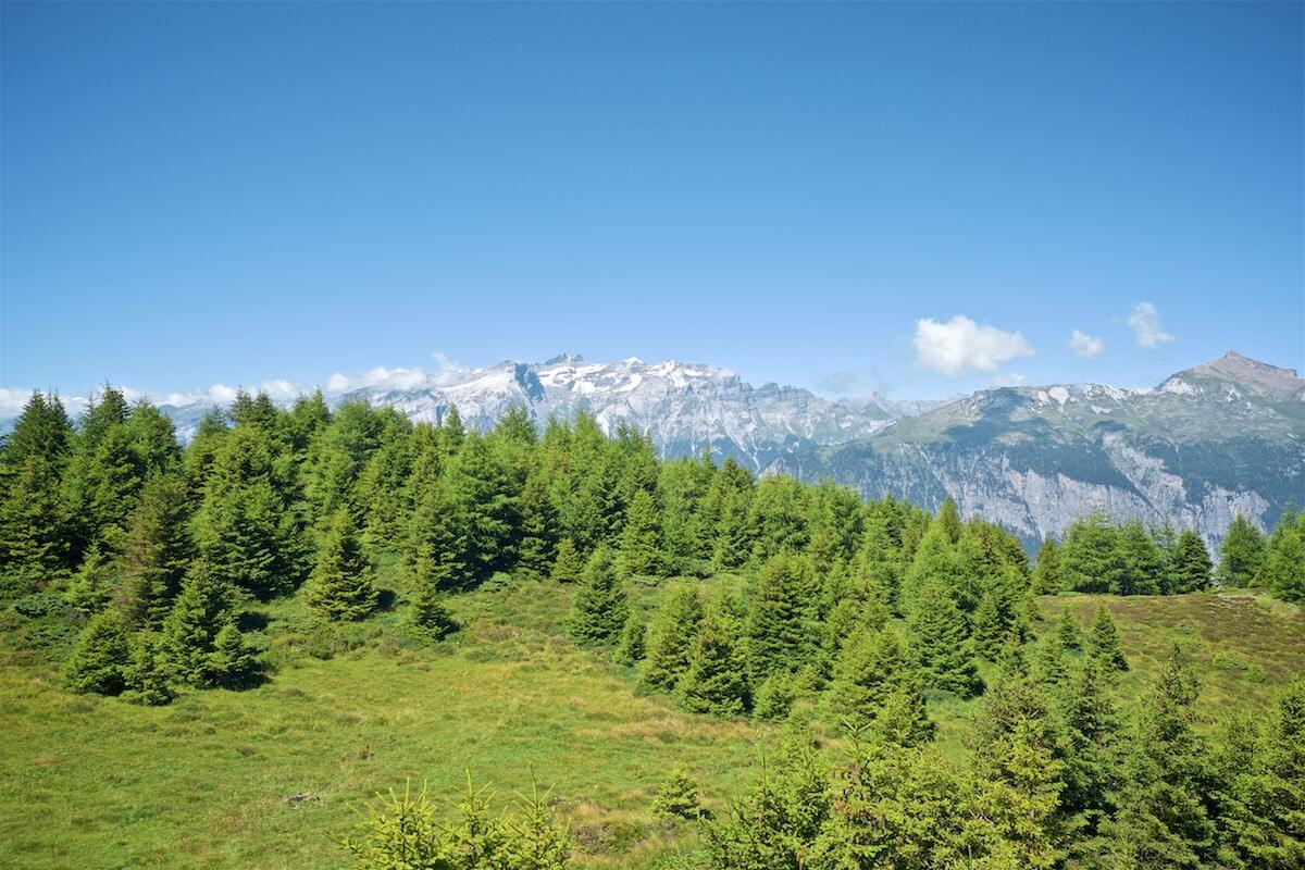 Bild ohne Beschreibung