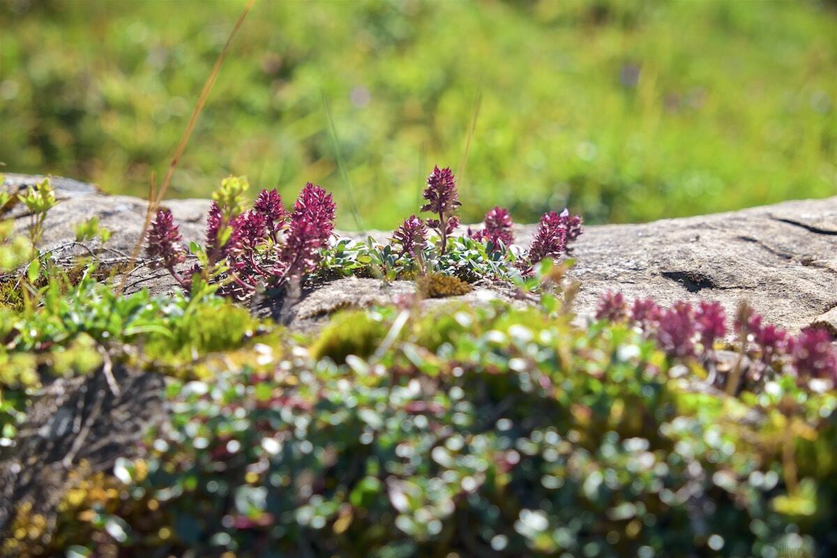 Bild ohne Beschreibung