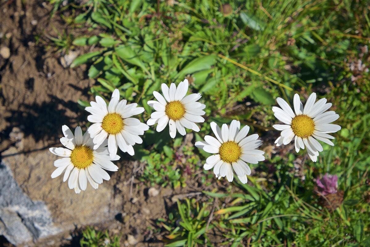 Bild ohne Beschreibung