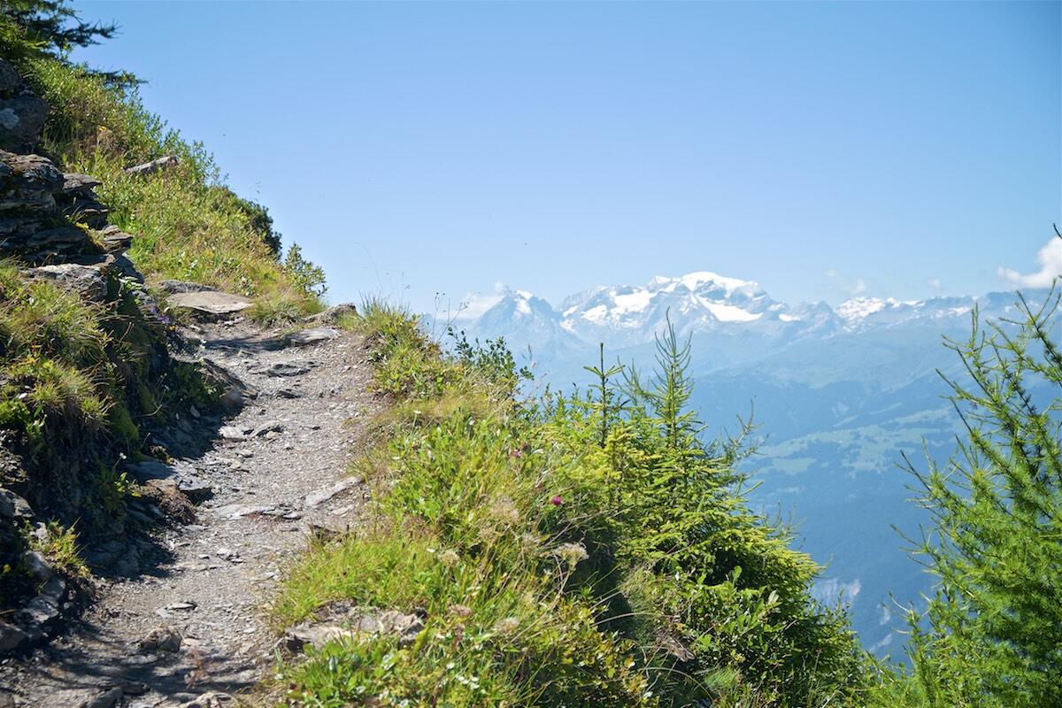 Bild ohne Beschreibung