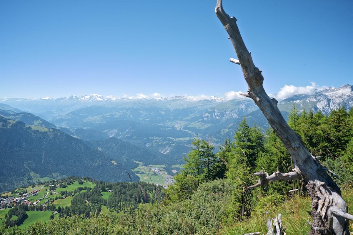 Bild ohne Beschreibung