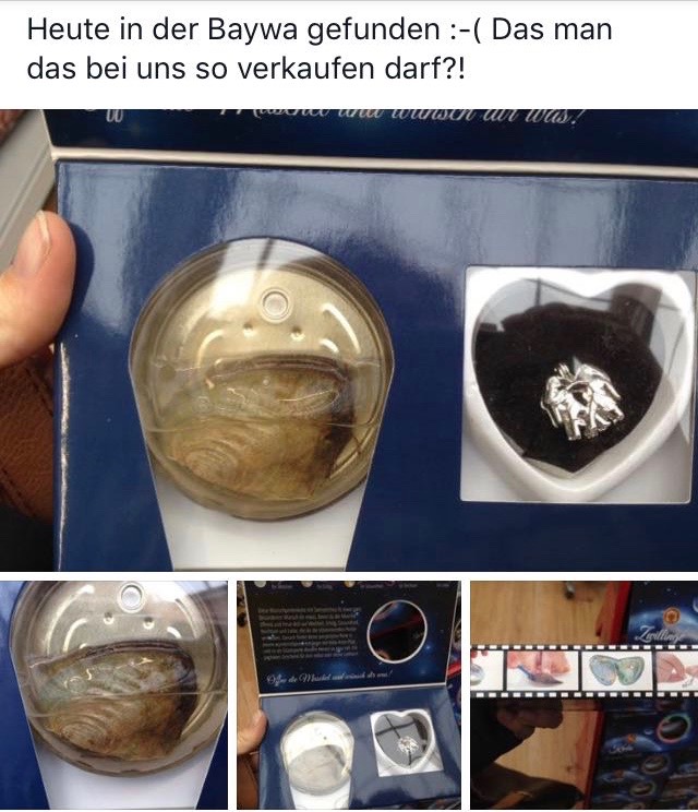 Bild ohne Beschreibung