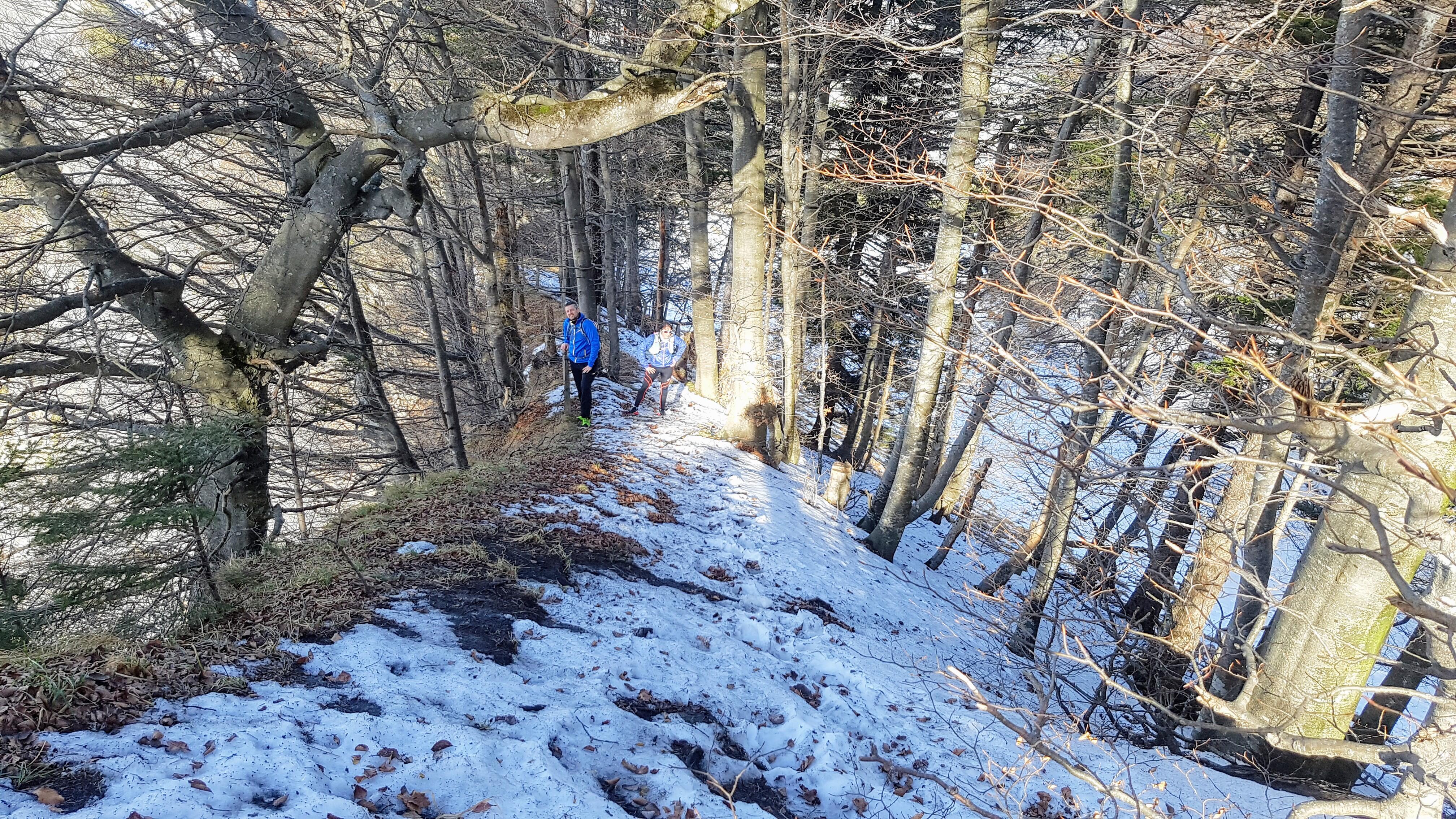 Bild ohne Beschreibung