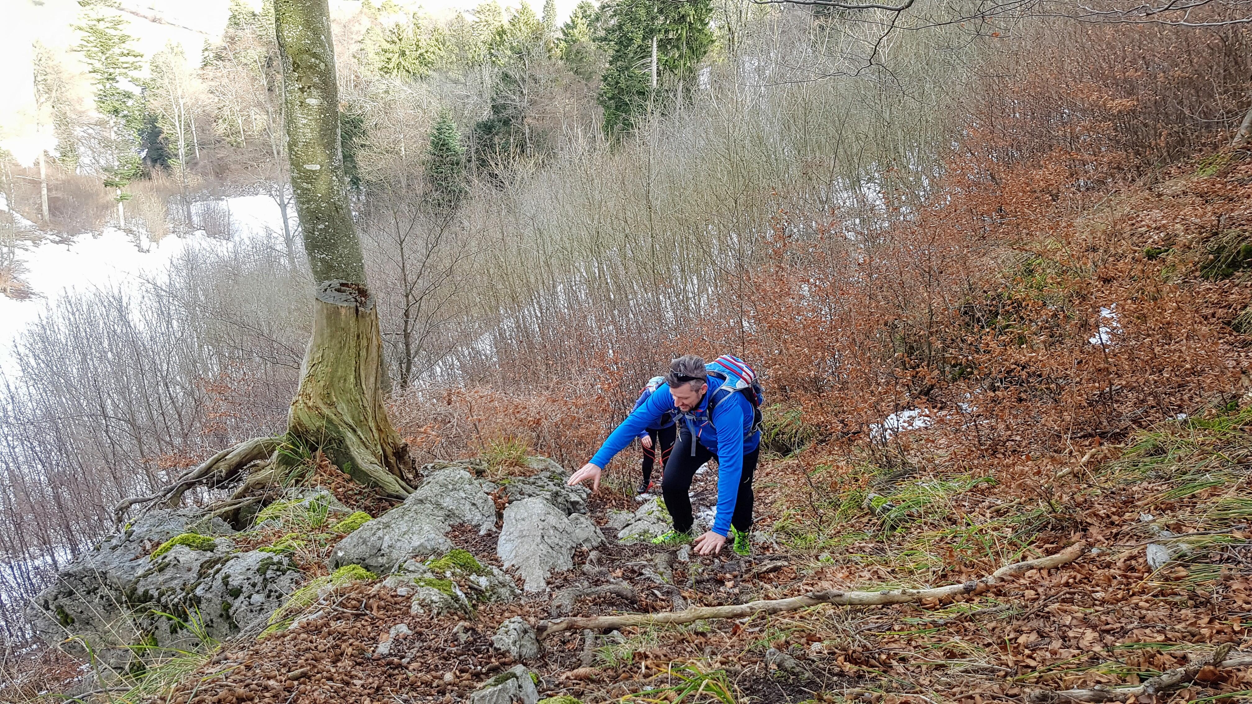 Bild ohne Beschreibung