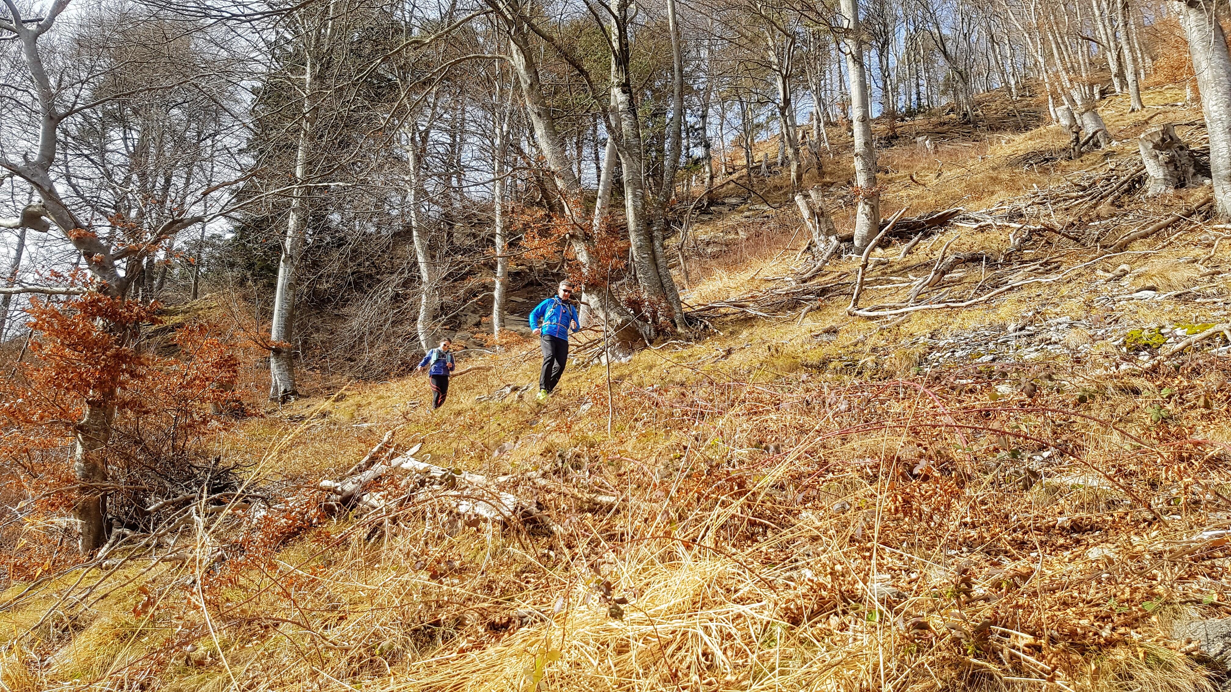 Bild ohne Beschreibung