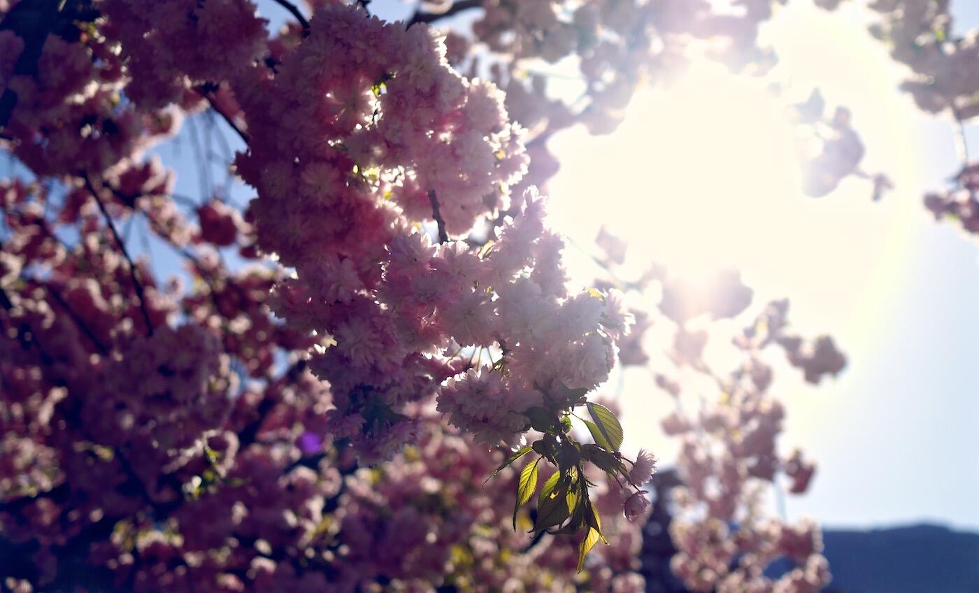 Bild ohne Beschreibung