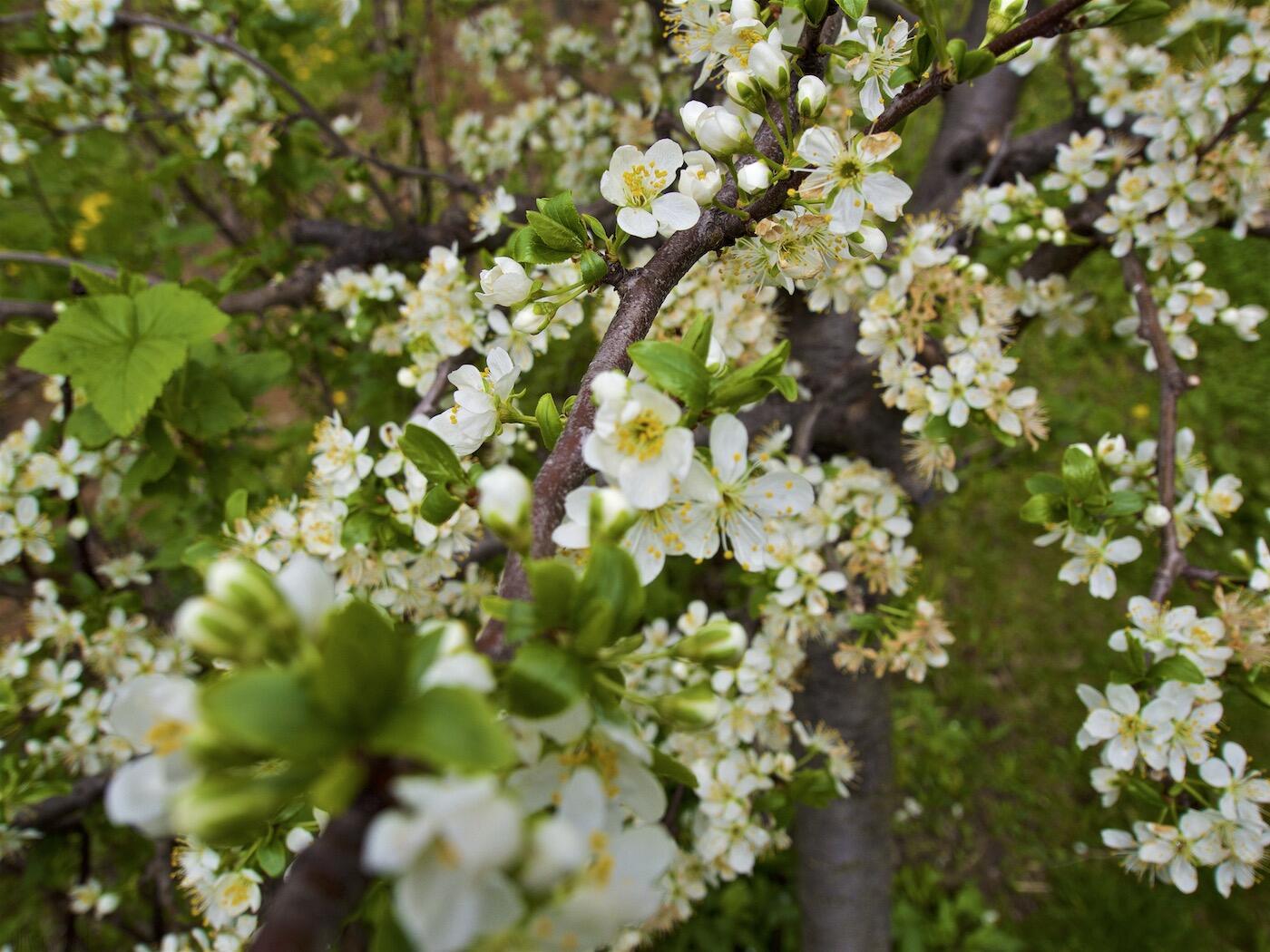 Bild ohne Beschreibung