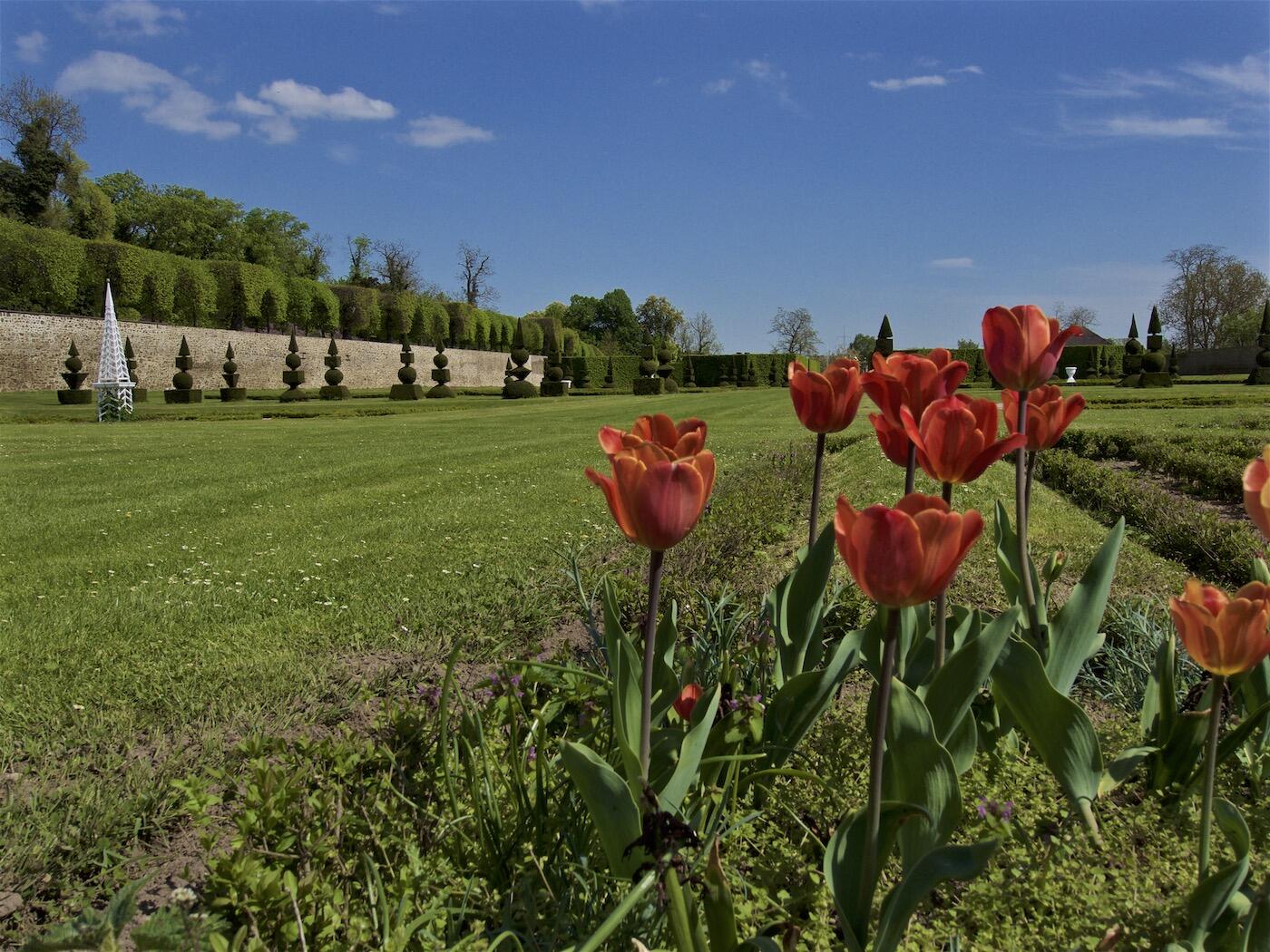 Bild ohne Beschreibung