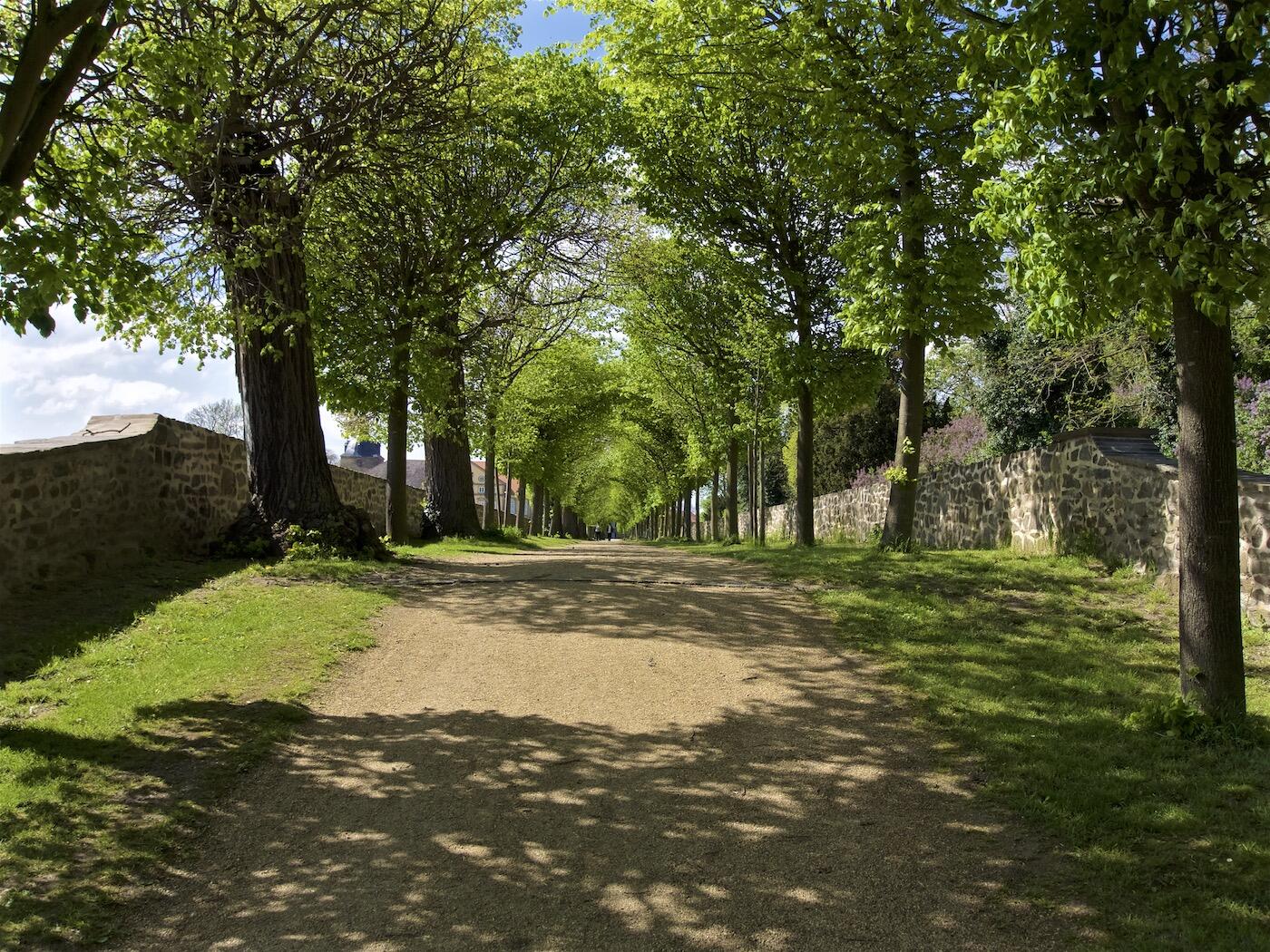 Bild ohne Beschreibung