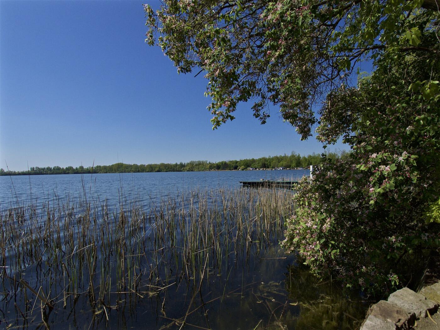 Bild ohne Beschreibung