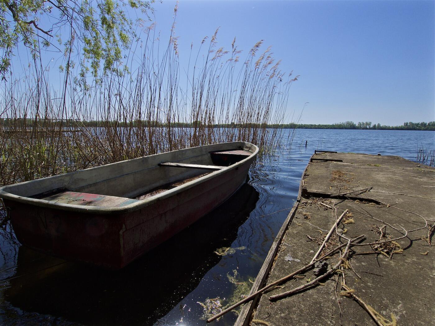 Bild ohne Beschreibung