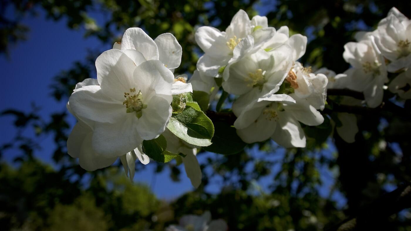 Bild ohne Beschreibung