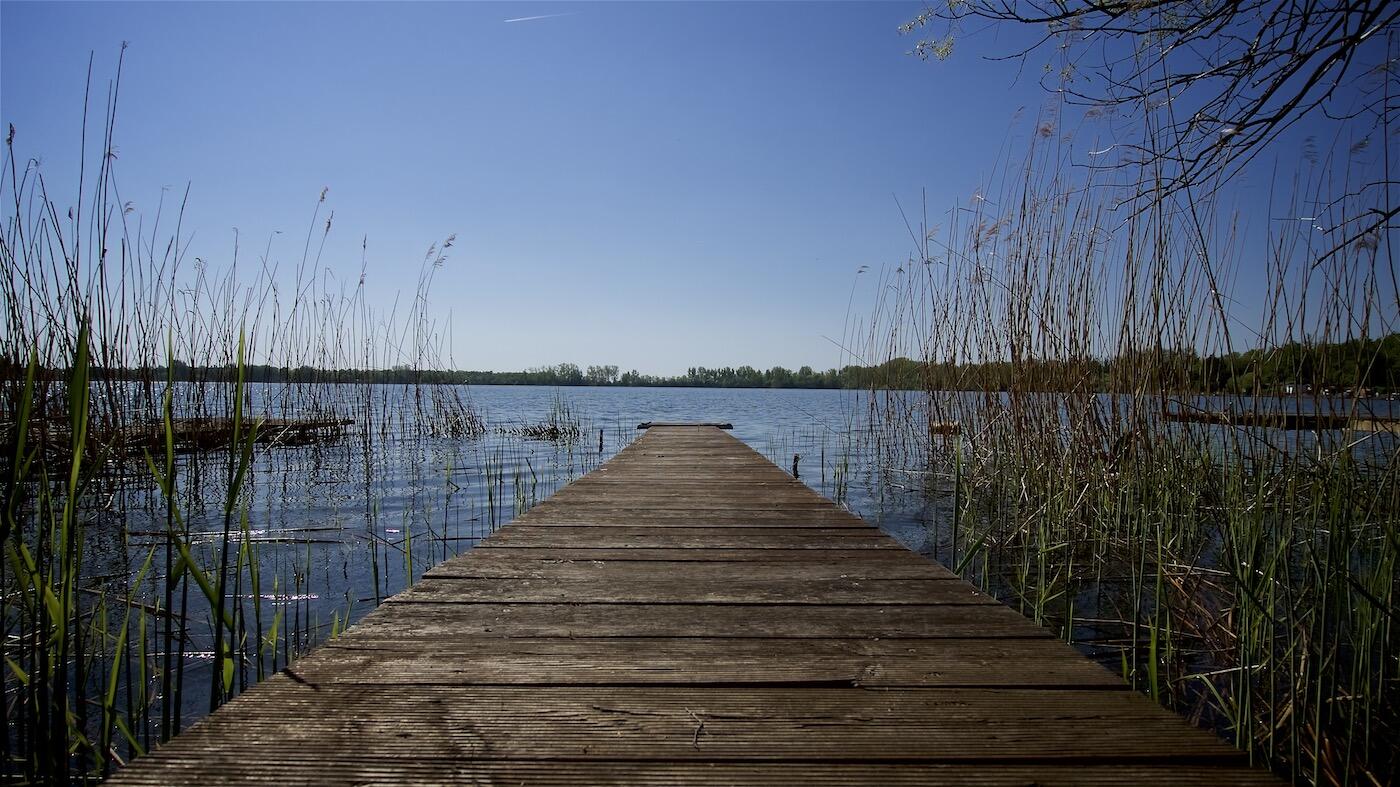 Bild ohne Beschreibung