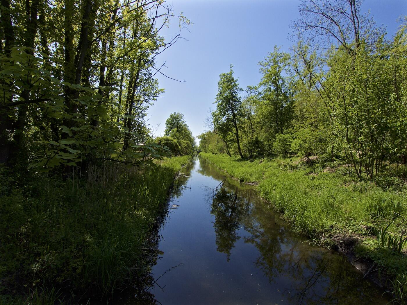 Bild ohne Beschreibung