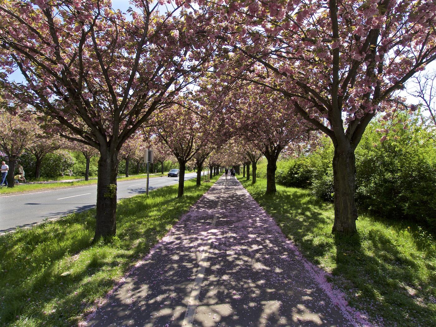 Bild ohne Beschreibung