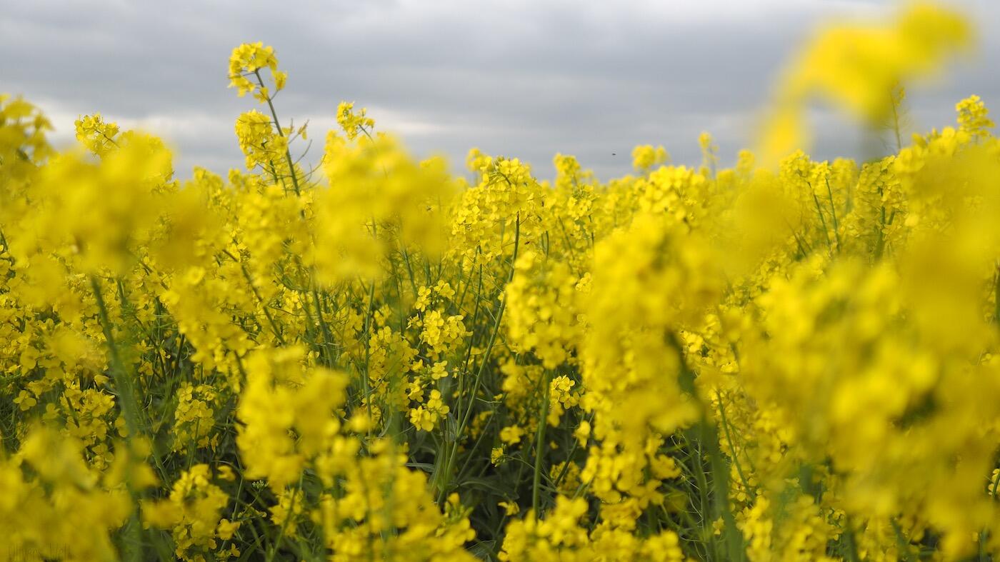 Bild ohne Beschreibung