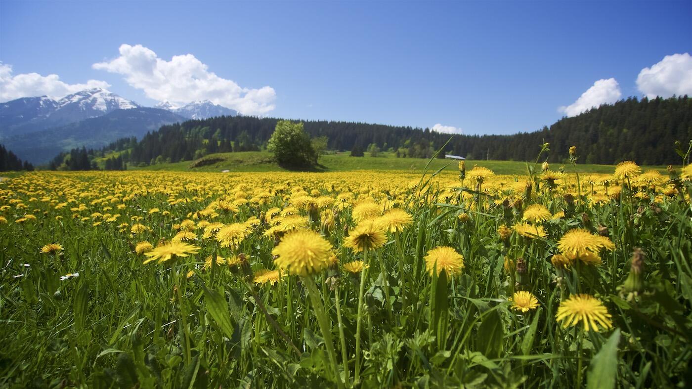 Bild ohne Beschreibung