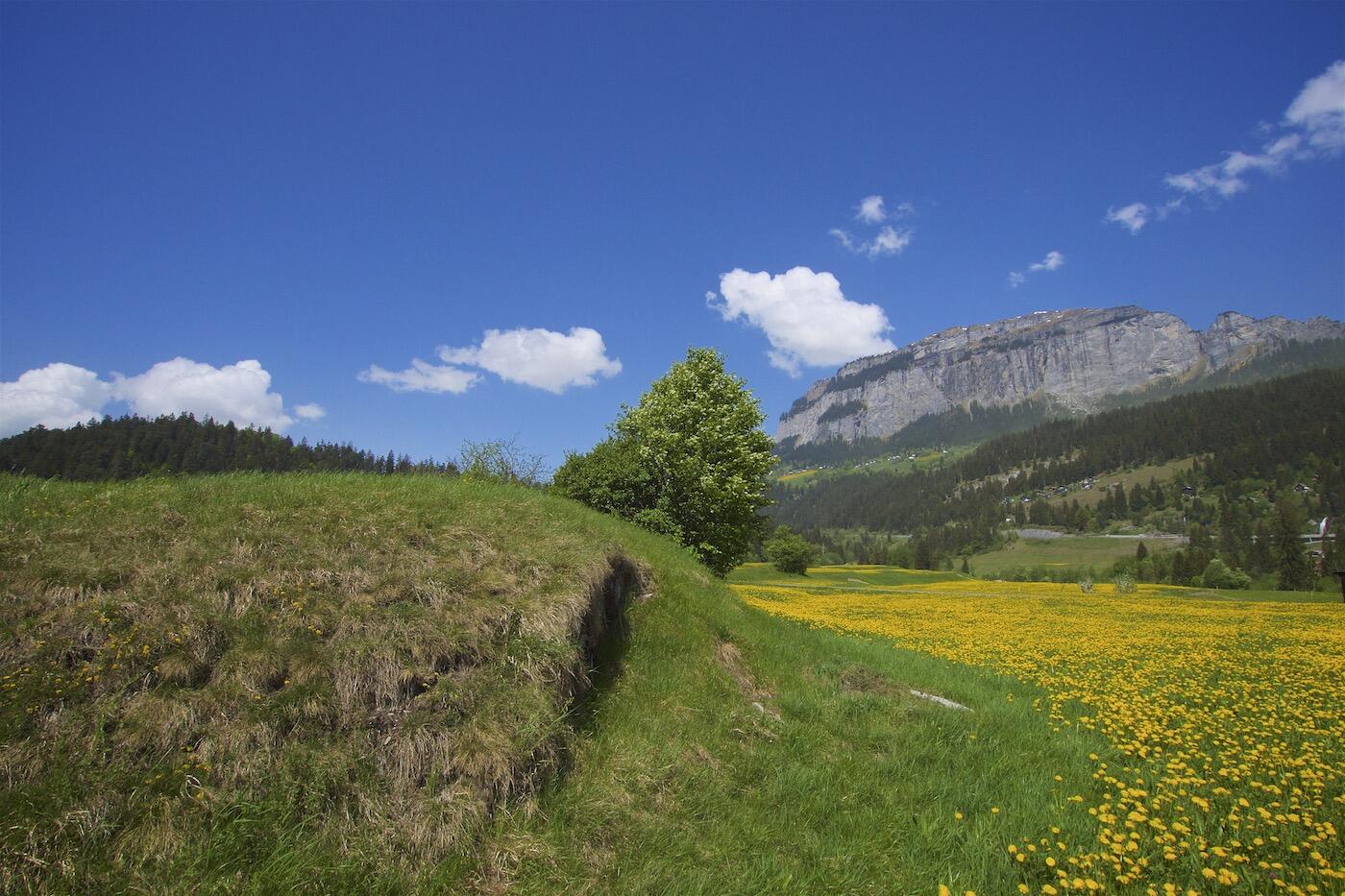 Bild ohne Beschreibung