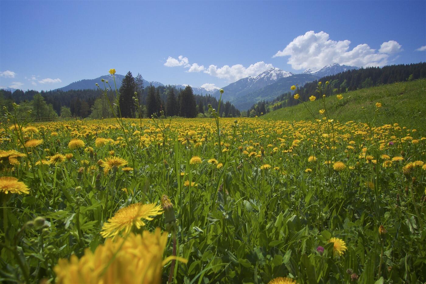 Bild ohne Beschreibung