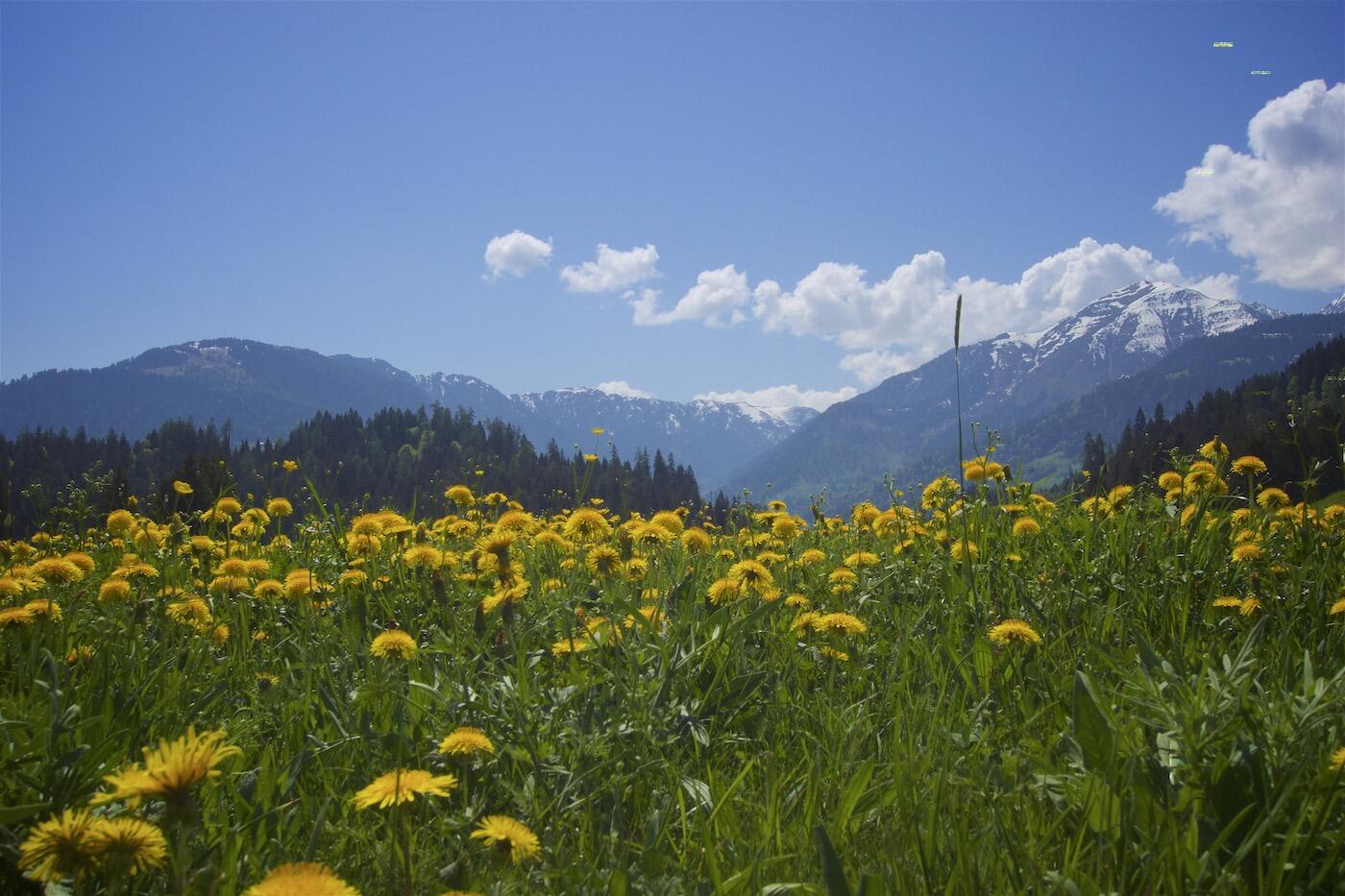 Bild ohne Beschreibung