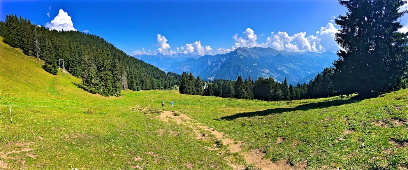 Bild ohne Beschreibung Bild ohne Beschreibung