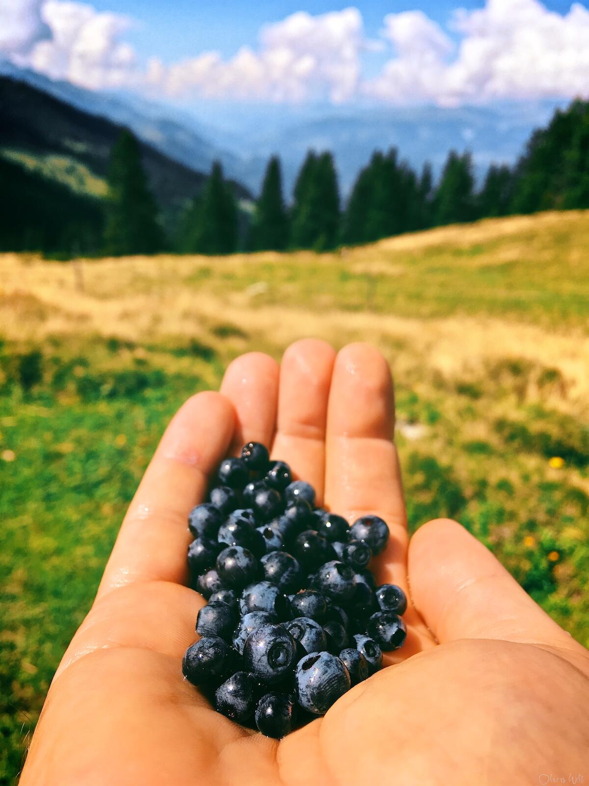 Bild ohne Beschreibung Bild ohne Beschreibung
