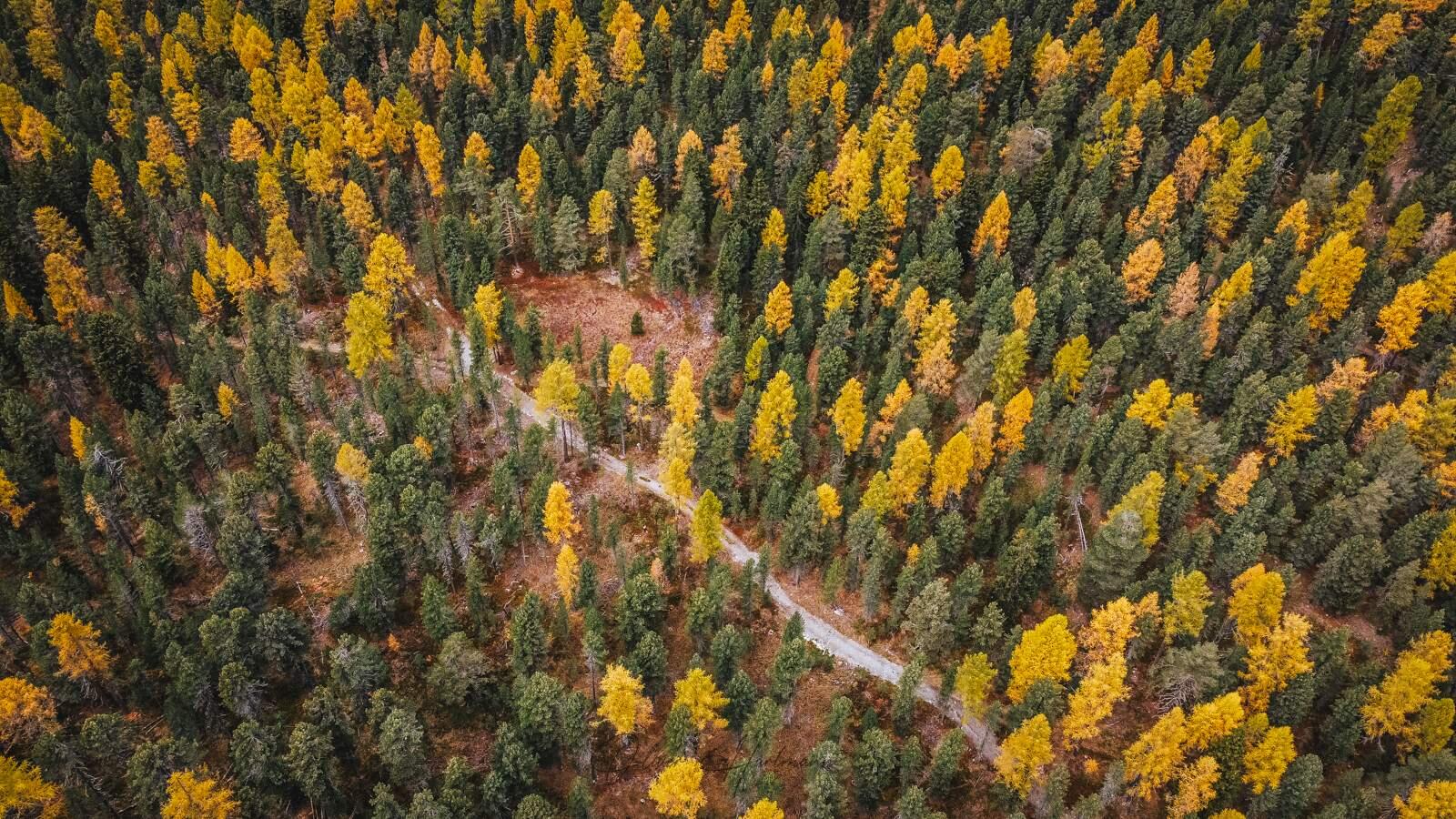 Bild ohne Beschreibung