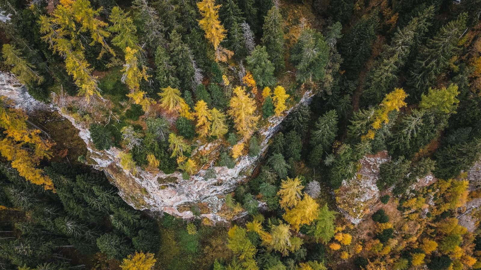 Bild ohne Beschreibung