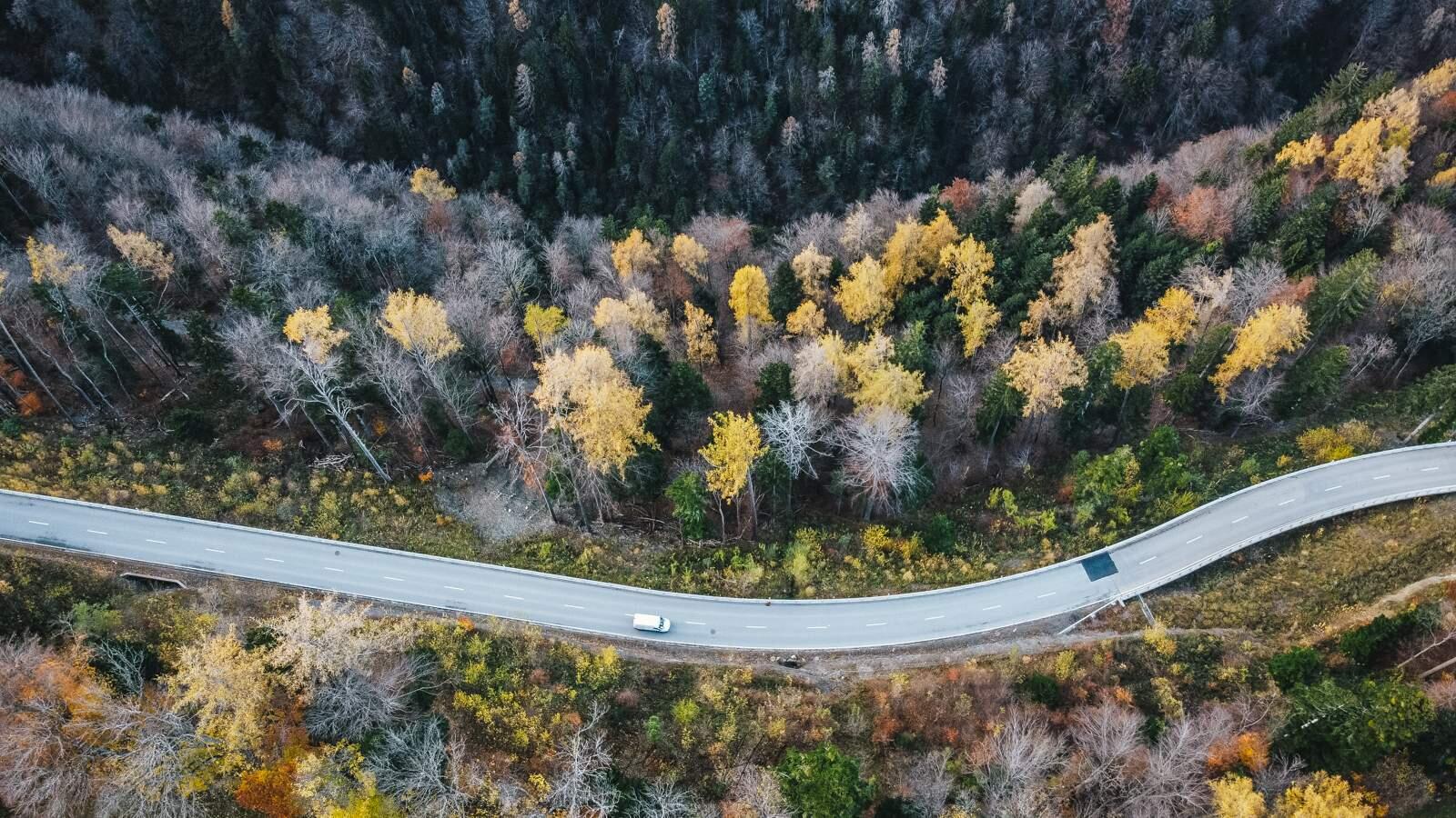 Bild ohne Beschreibung