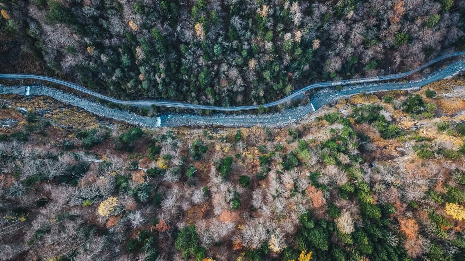 Bild ohne Beschreibung