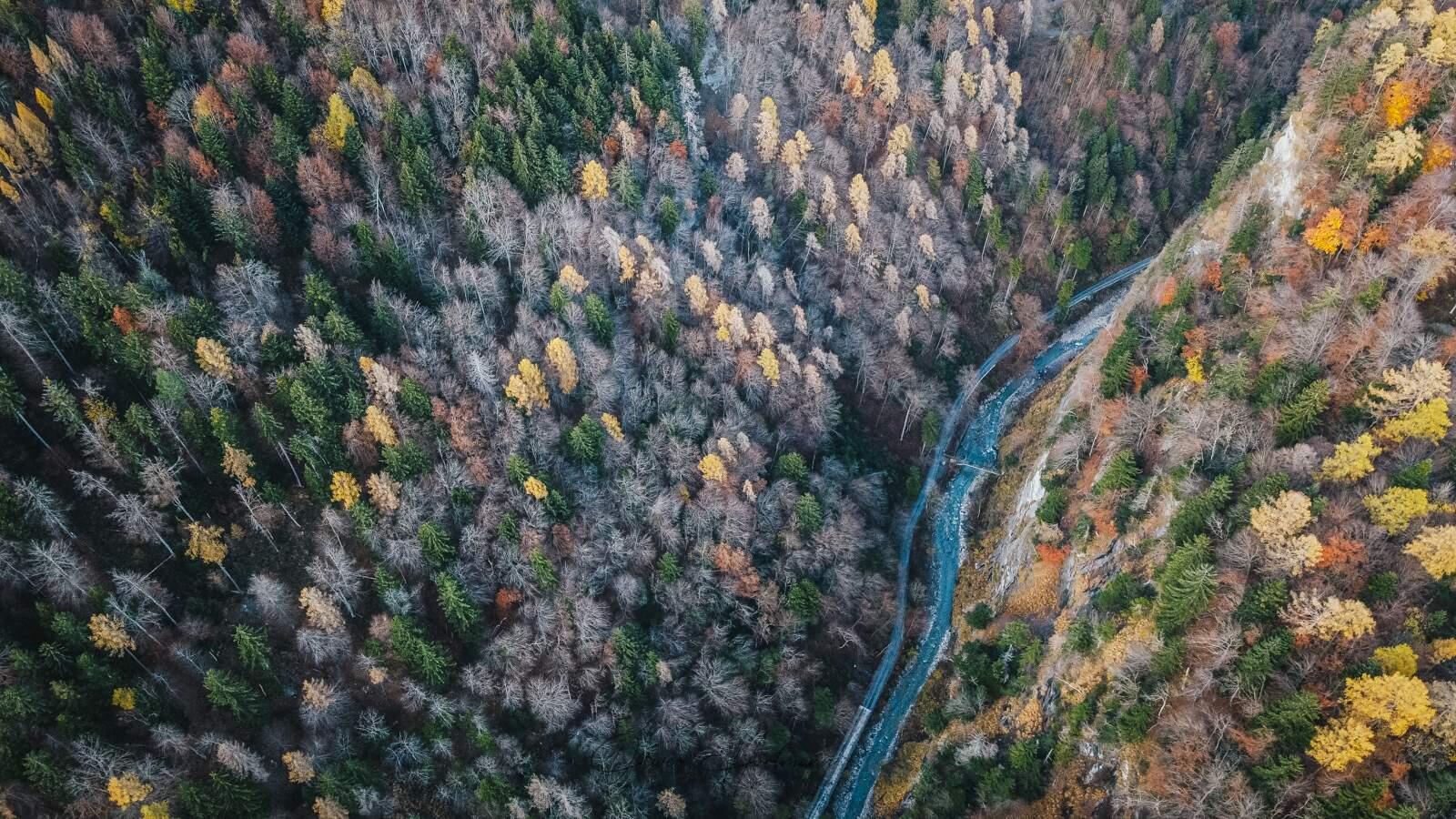 Bild ohne Beschreibung