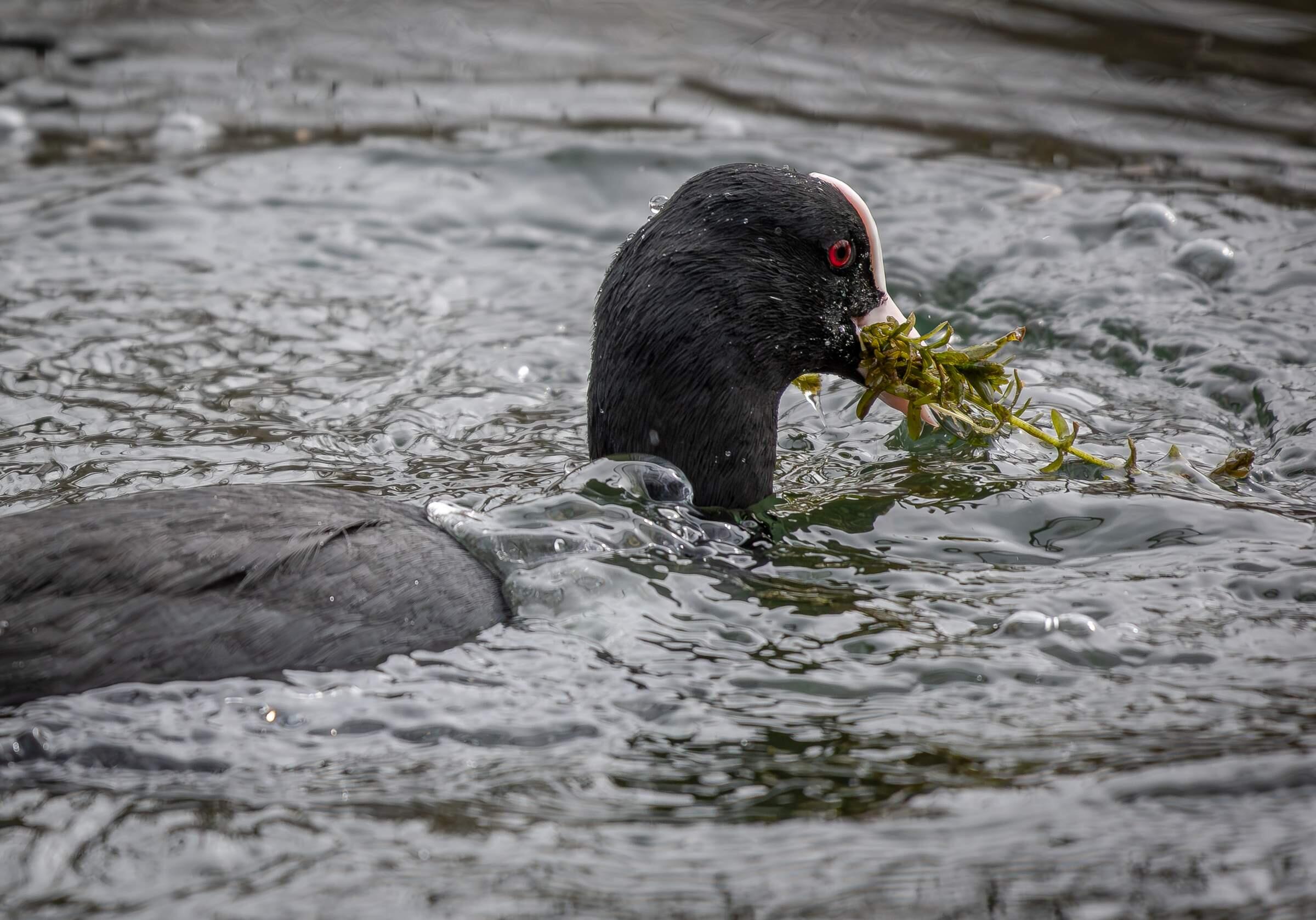 Bild ohne Beschreibung Bild ohne Beschreibung