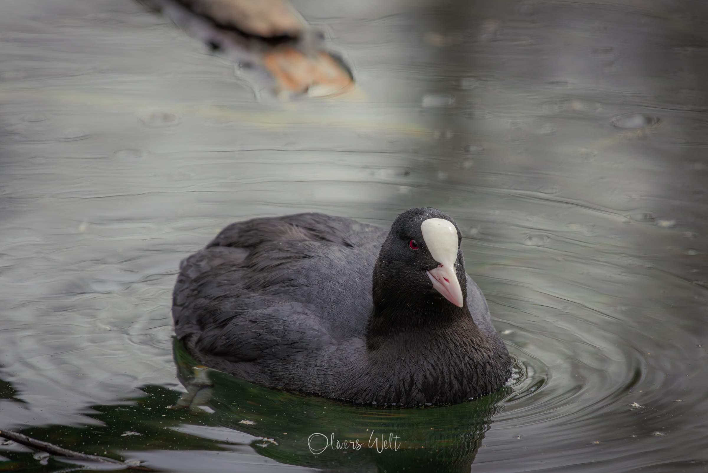 Bild ohne Beschreibung Bild ohne Beschreibung