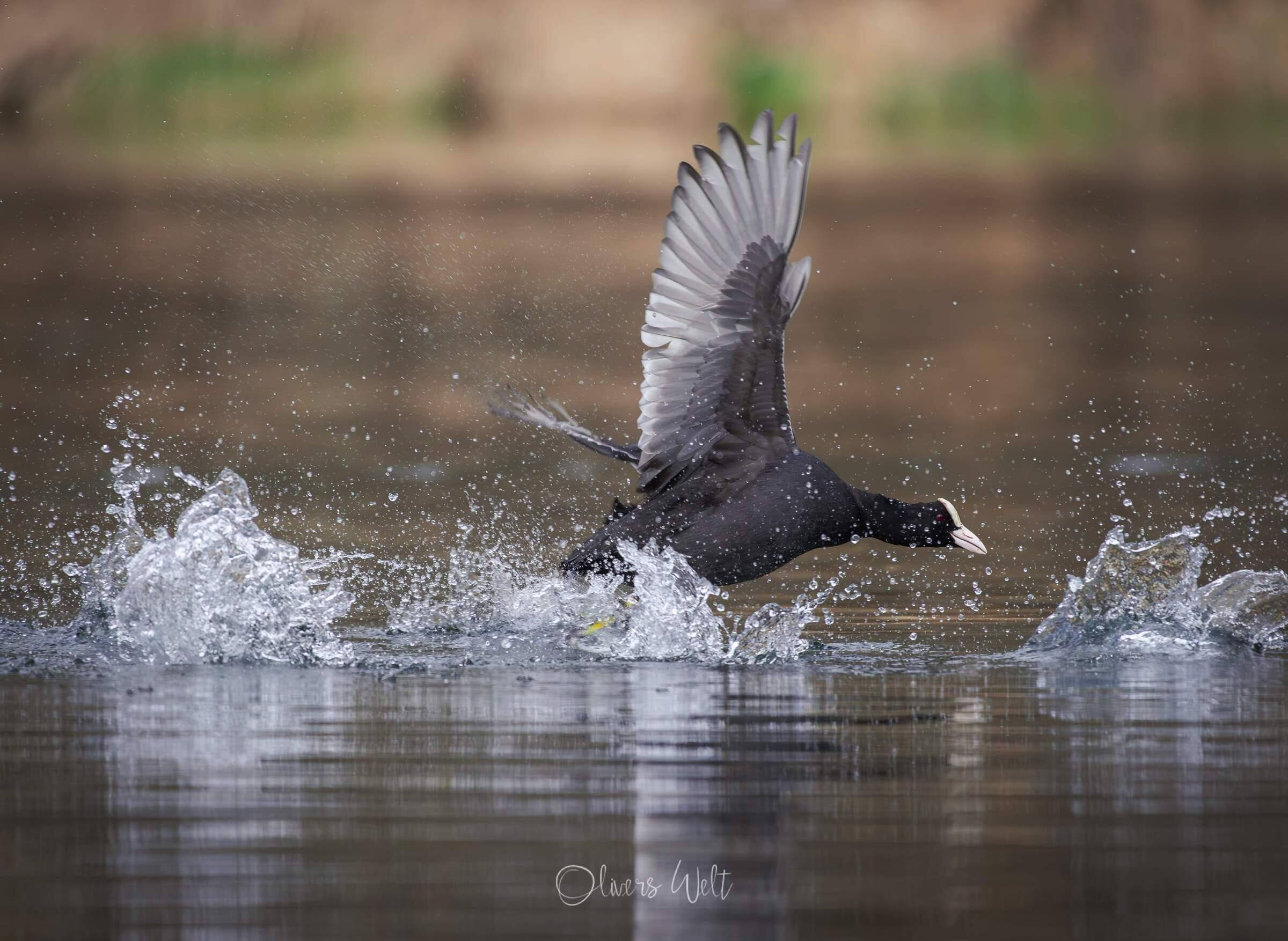 Bild ohne Beschreibung Bild ohne Beschreibung