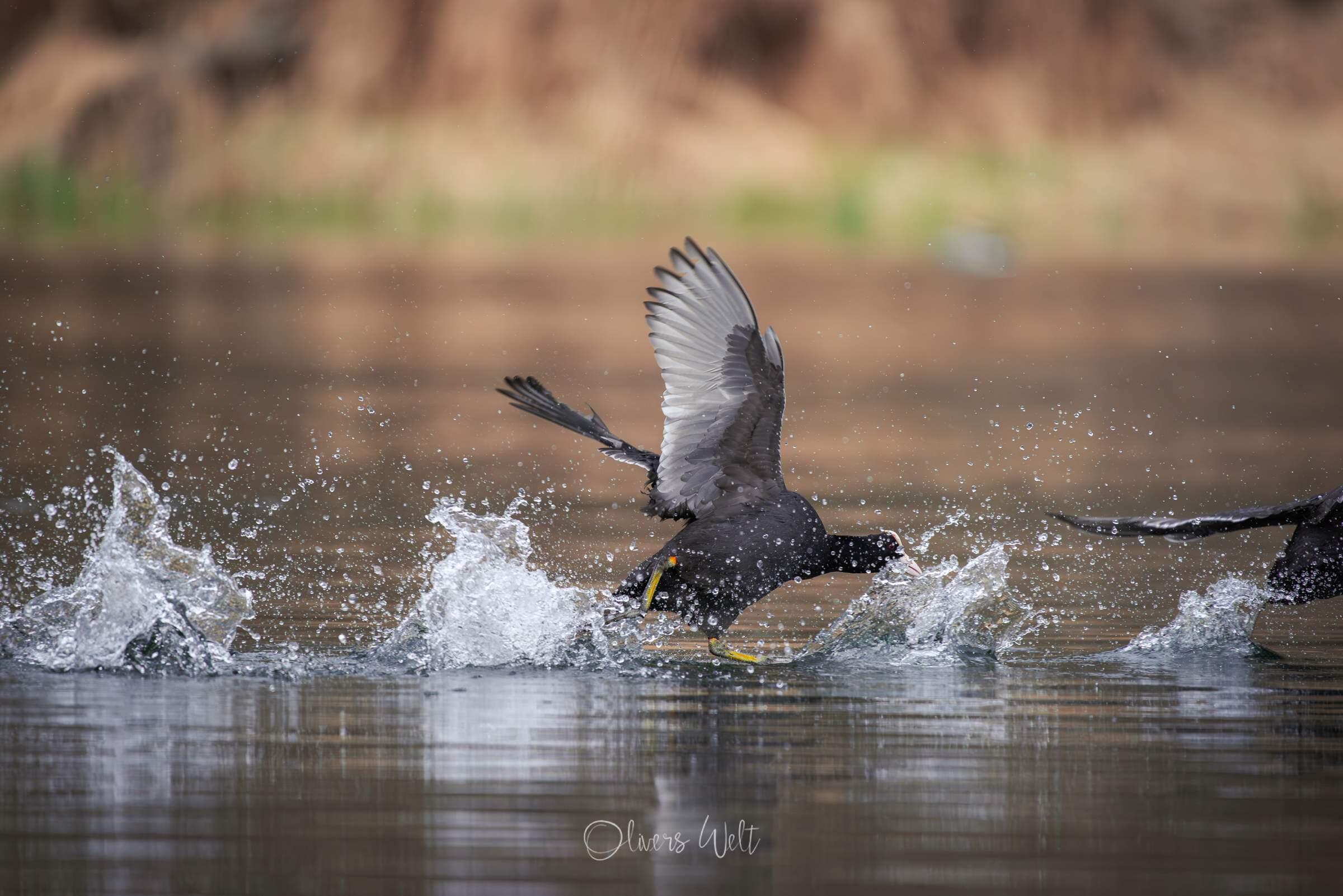 Bild ohne Beschreibung Bild ohne Beschreibung