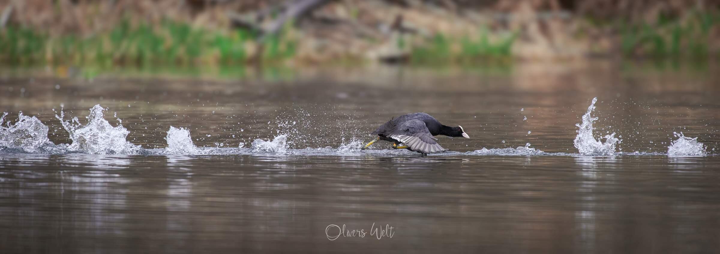 Bild ohne Beschreibung Bild ohne Beschreibung