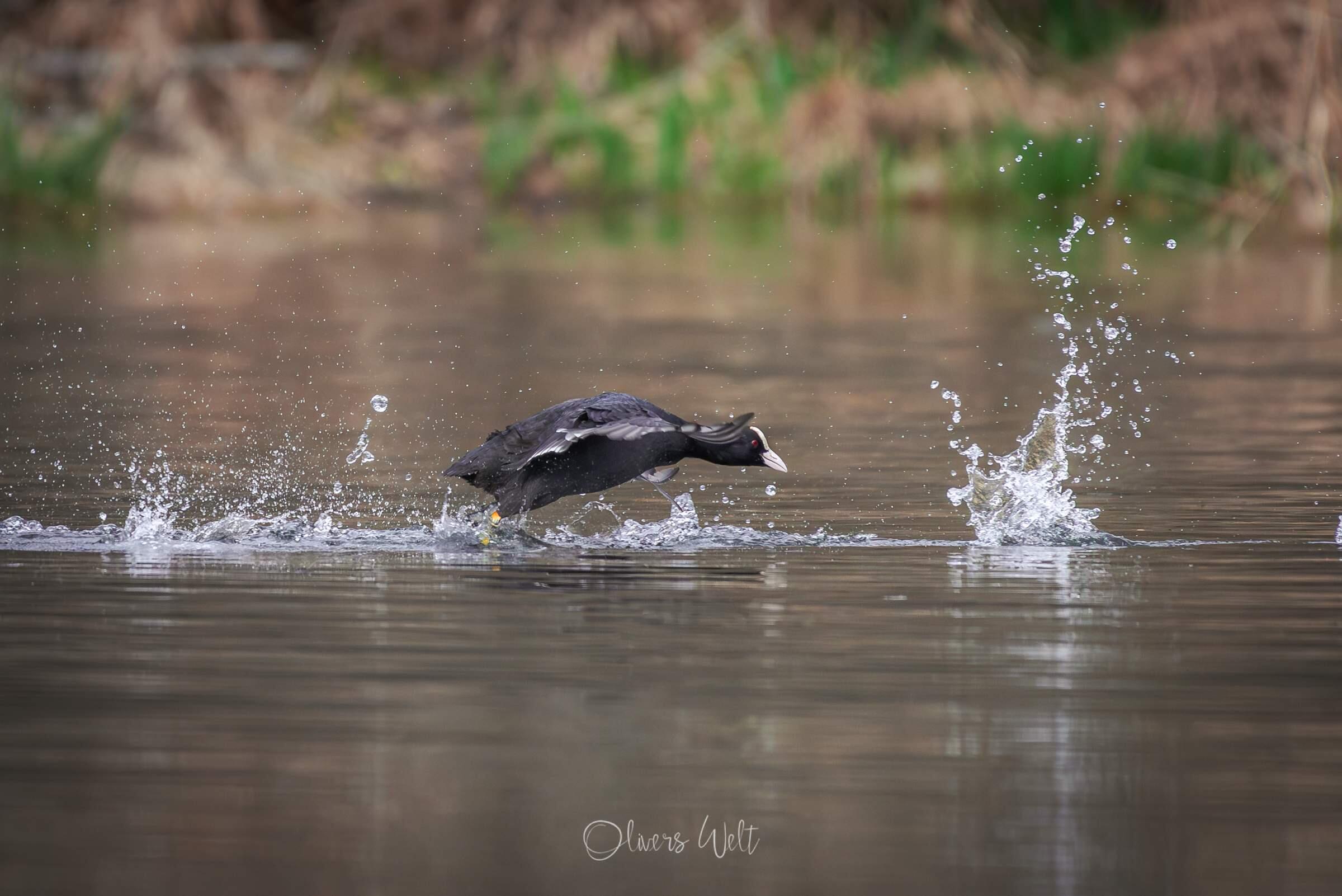 Bild ohne Beschreibung Bild ohne Beschreibung