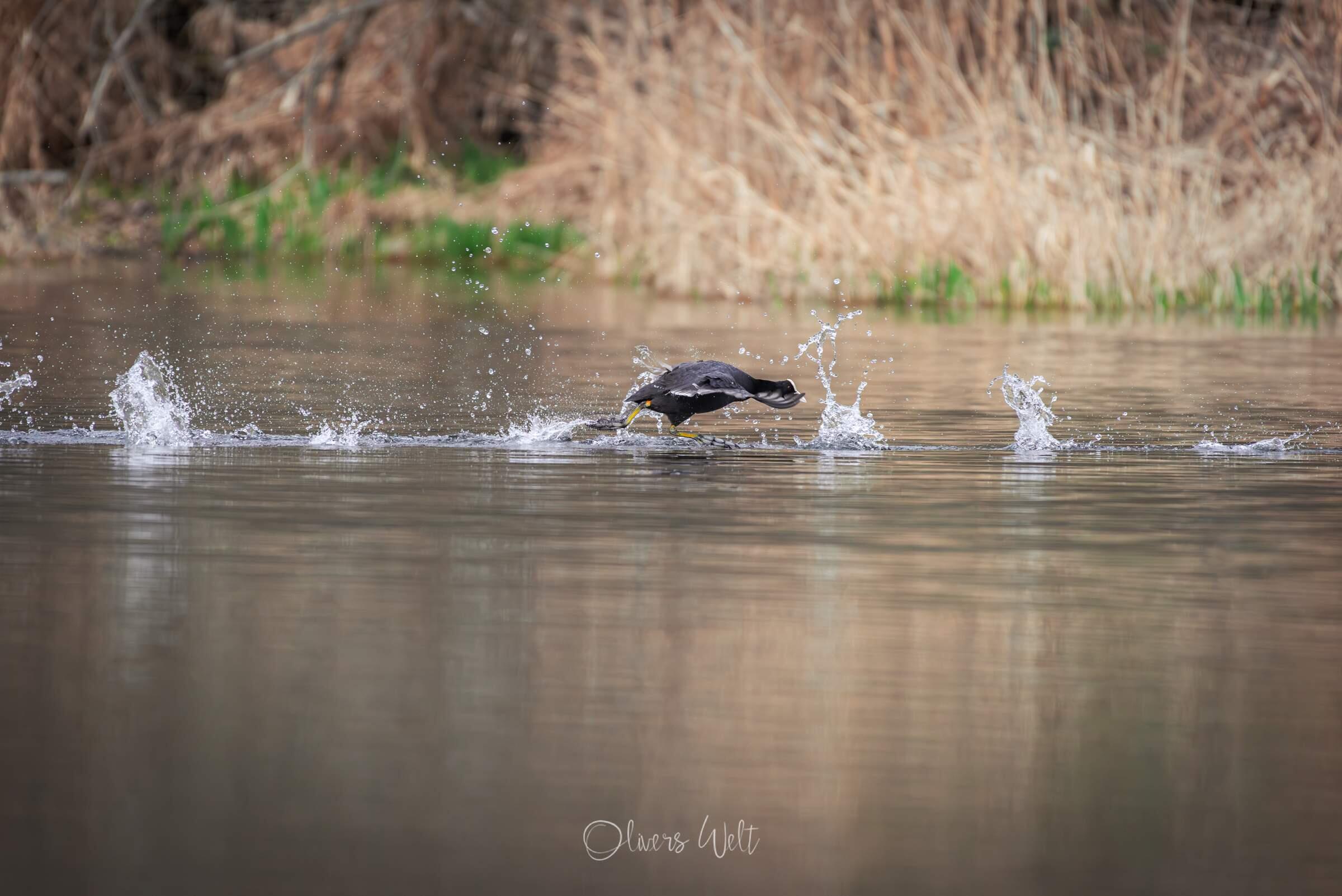Bild ohne Beschreibung Bild ohne Beschreibung