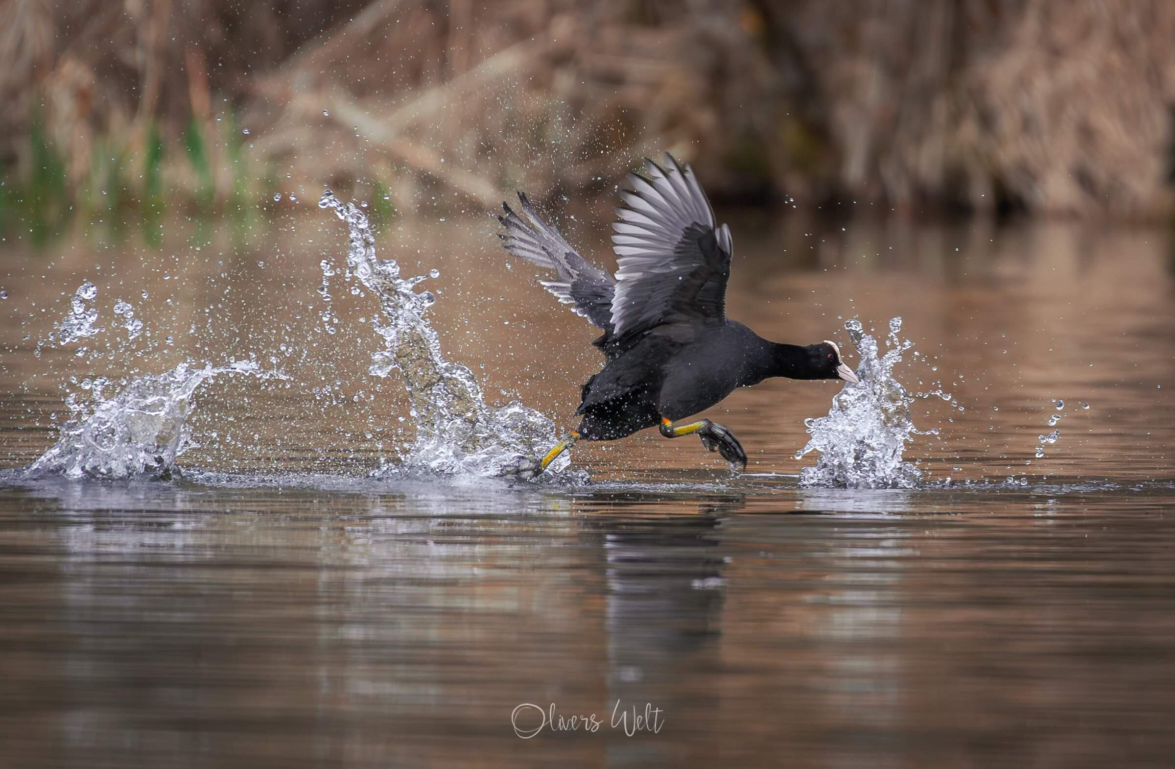 Bild ohne Beschreibung Bild ohne Beschreibung