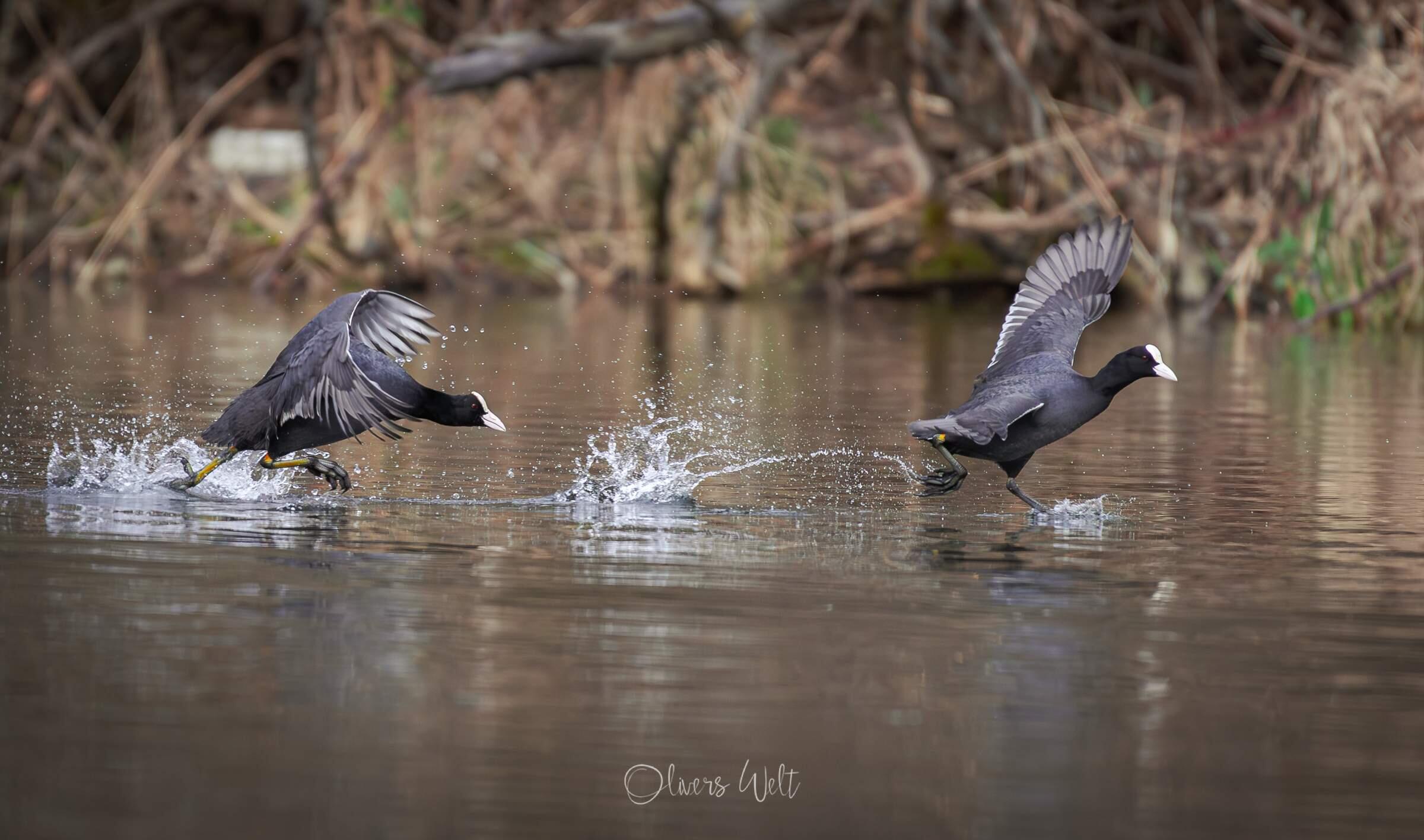 Bild ohne Beschreibung Bild ohne Beschreibung