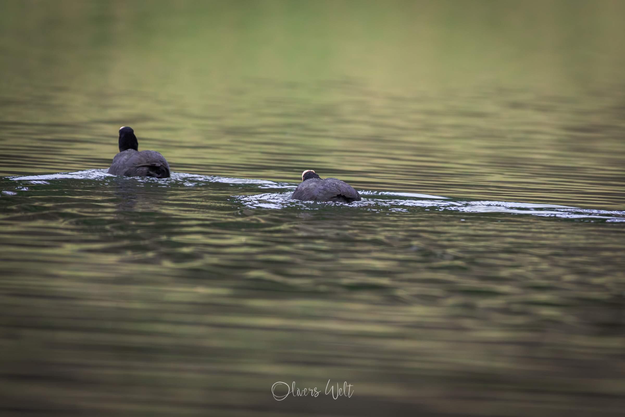Bild ohne Beschreibung Bild ohne Beschreibung