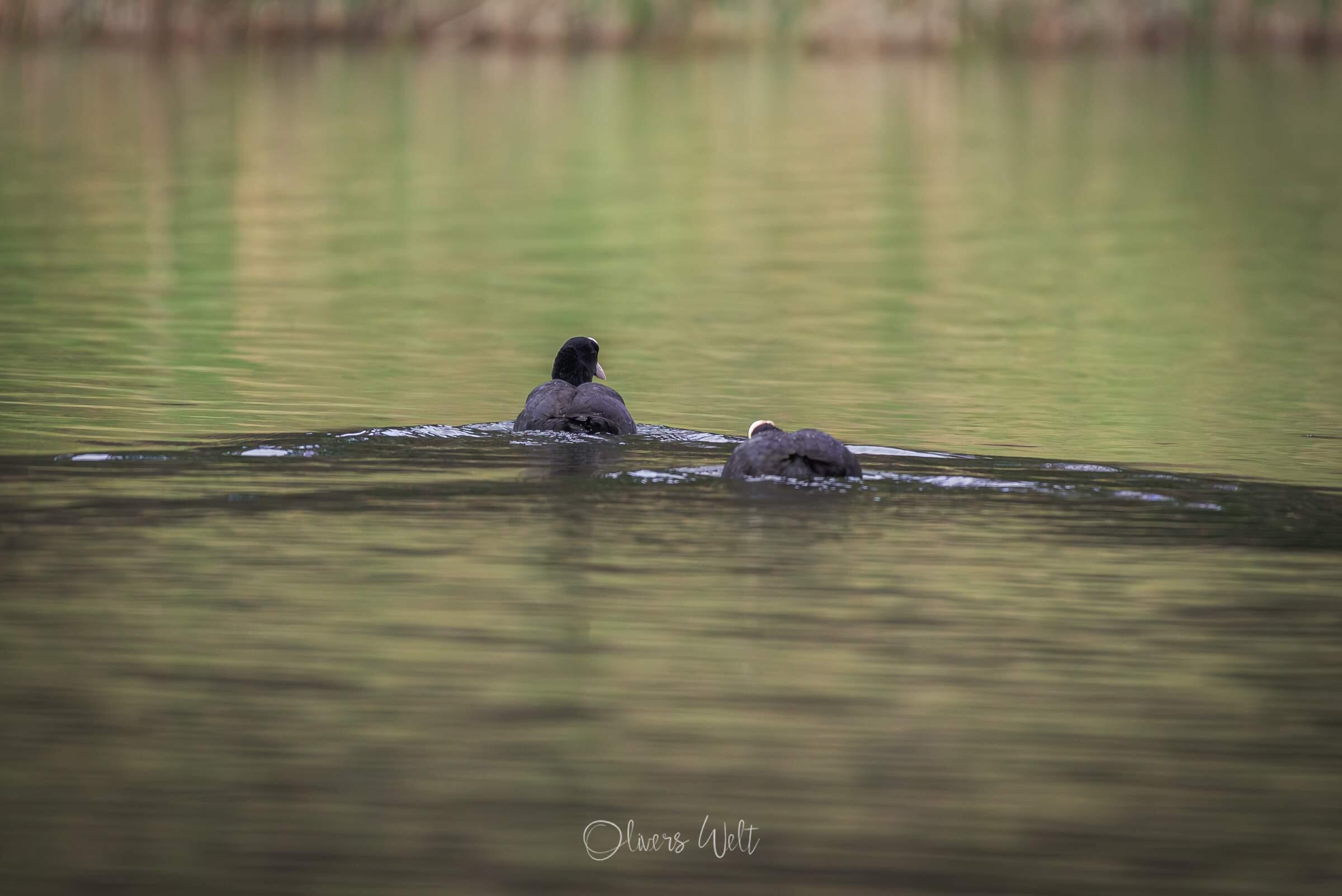 Bild ohne Beschreibung Bild ohne Beschreibung