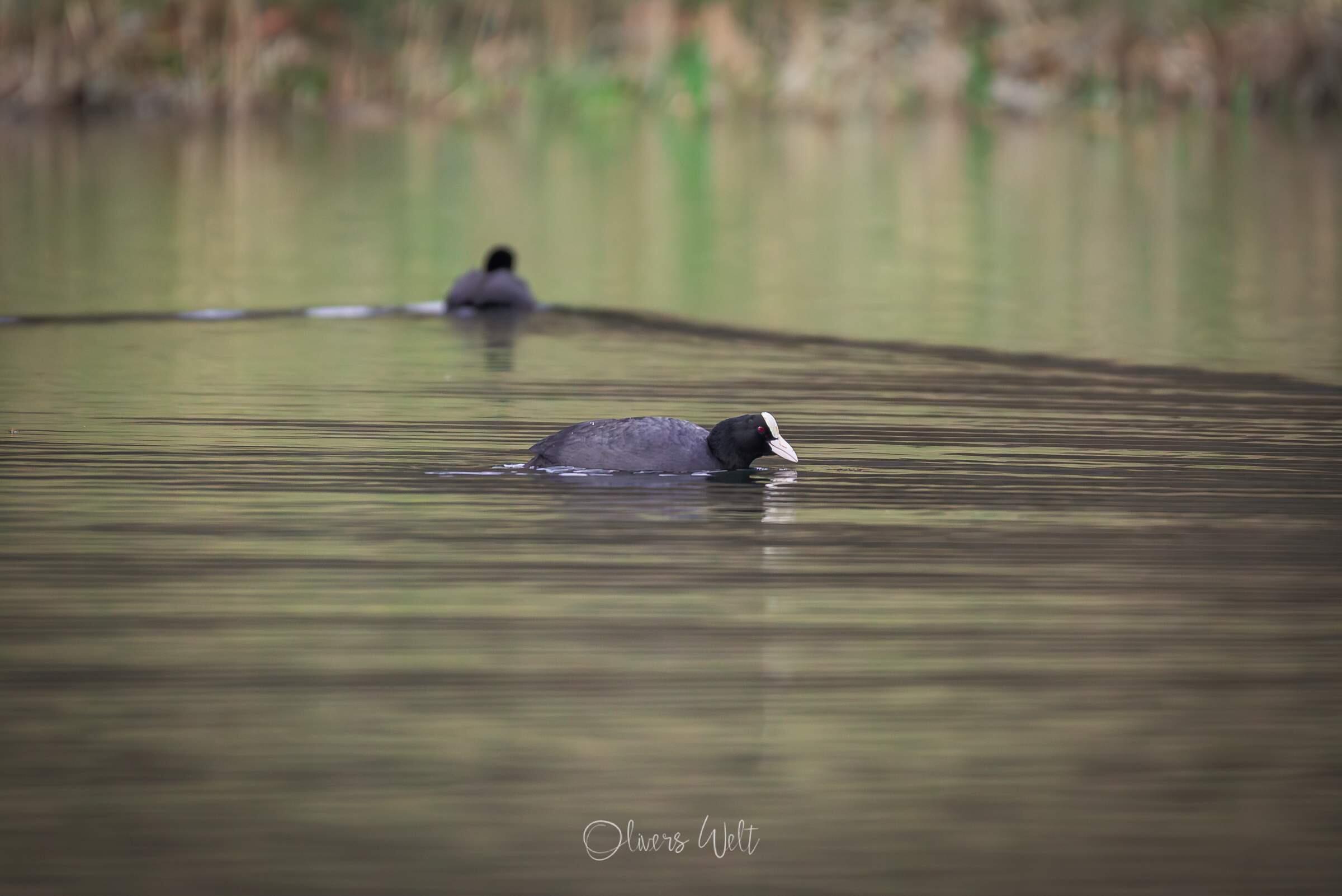 Bild ohne Beschreibung Bild ohne Beschreibung